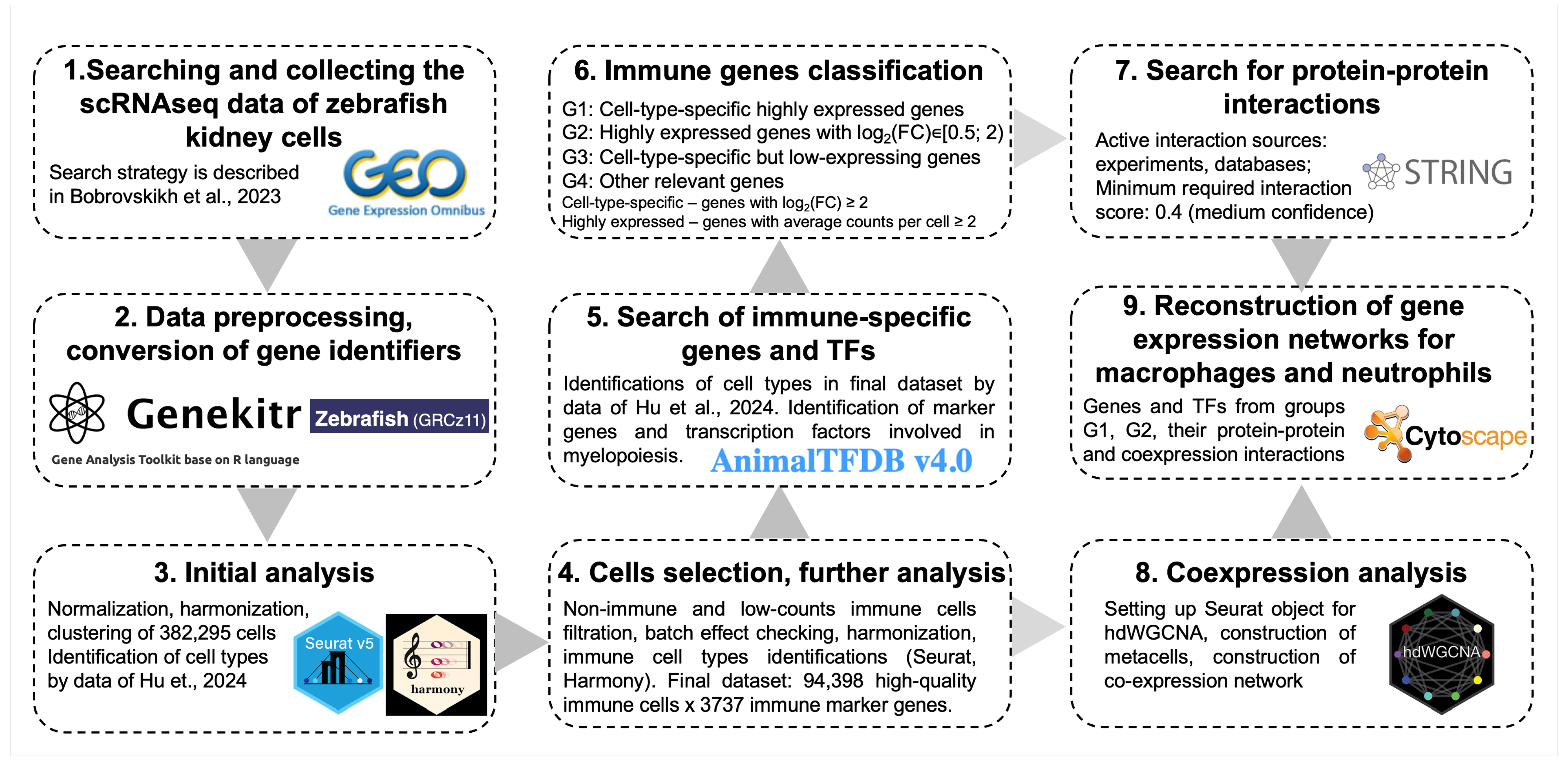 Biology 13 00773 g001 Biology 13 00773 g001