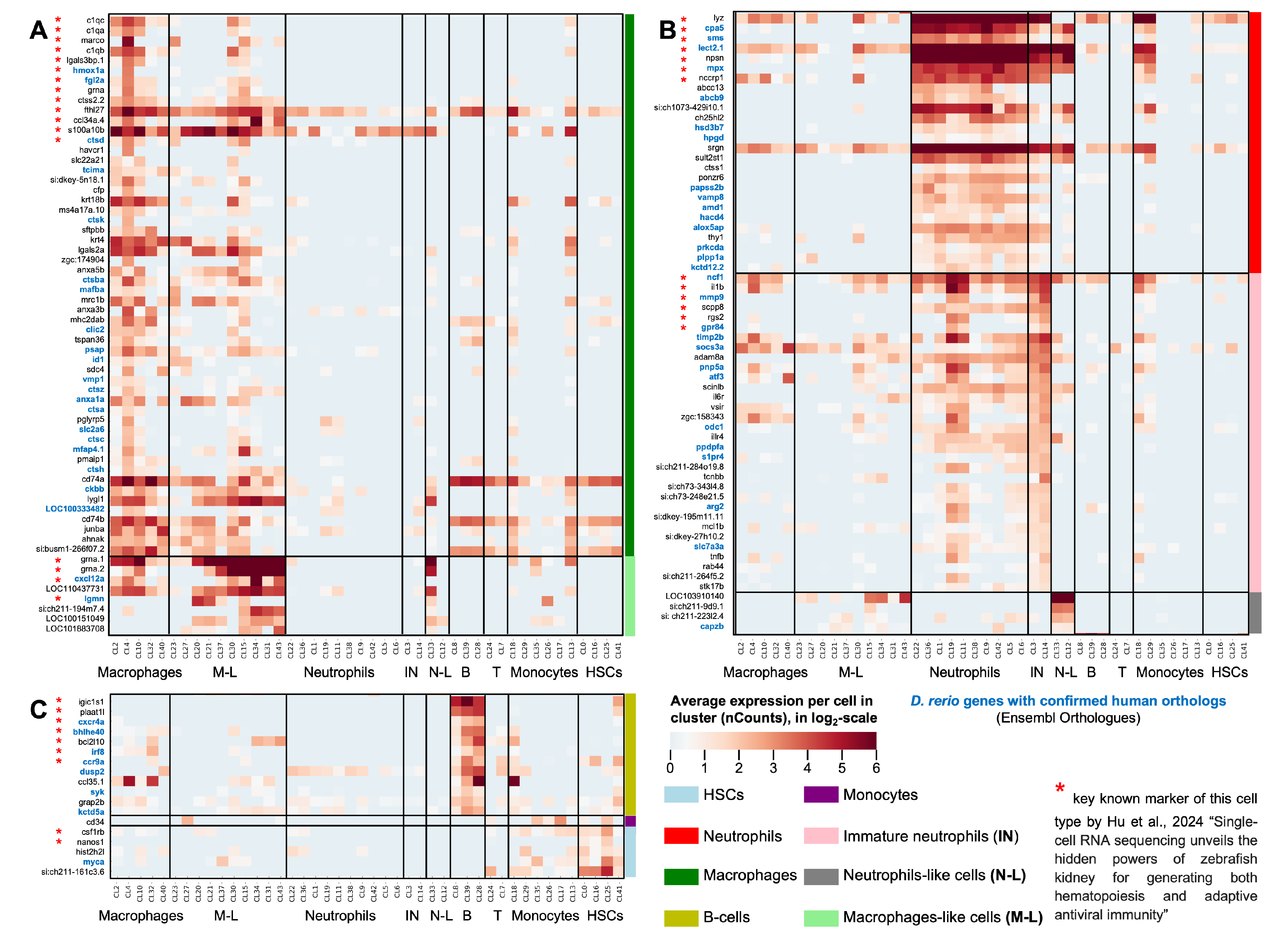 Biology 13 00773 g004 Biology 13 00773 g004