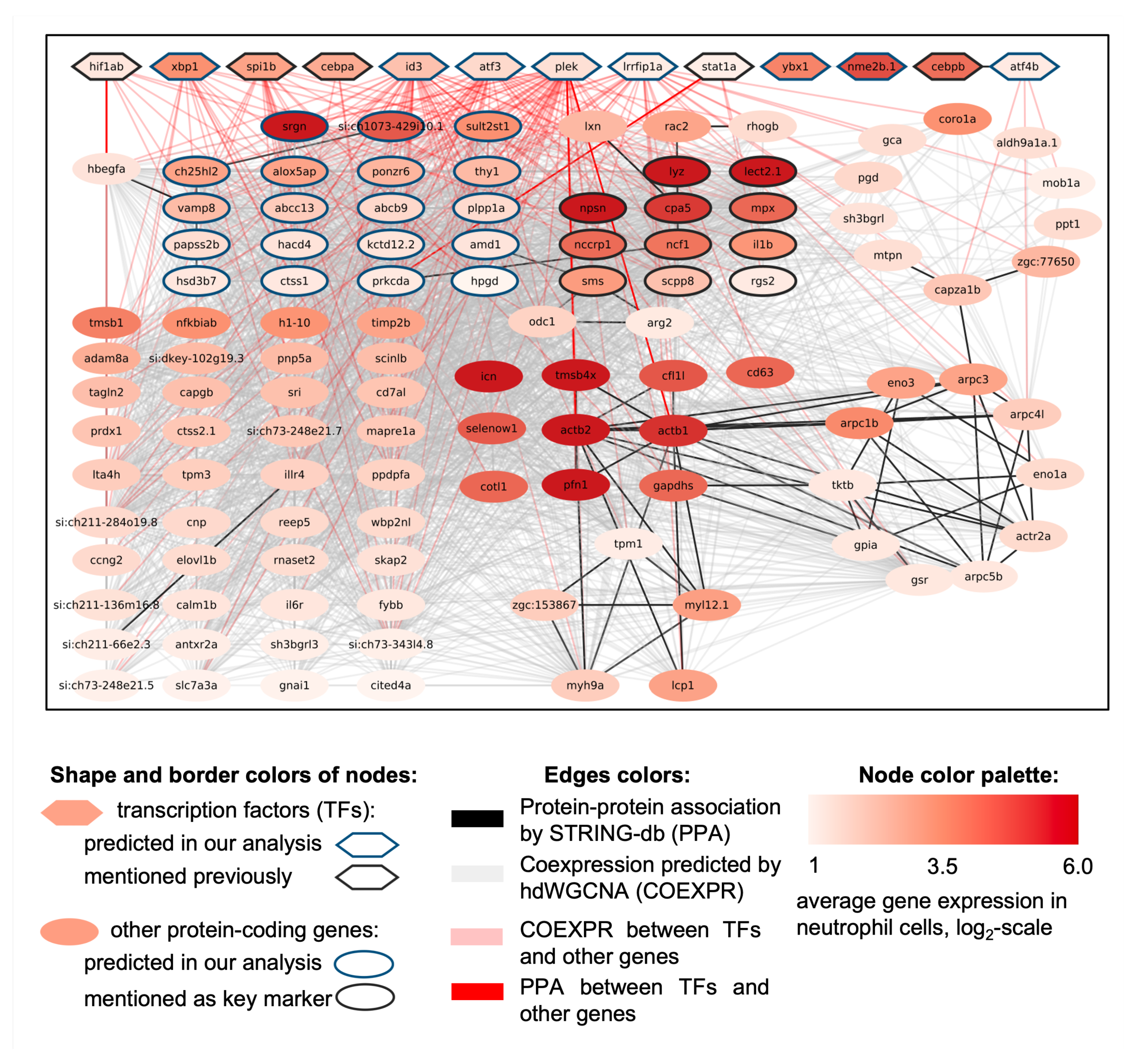 Biology 13 00773 g007 Biology 13 00773 g007