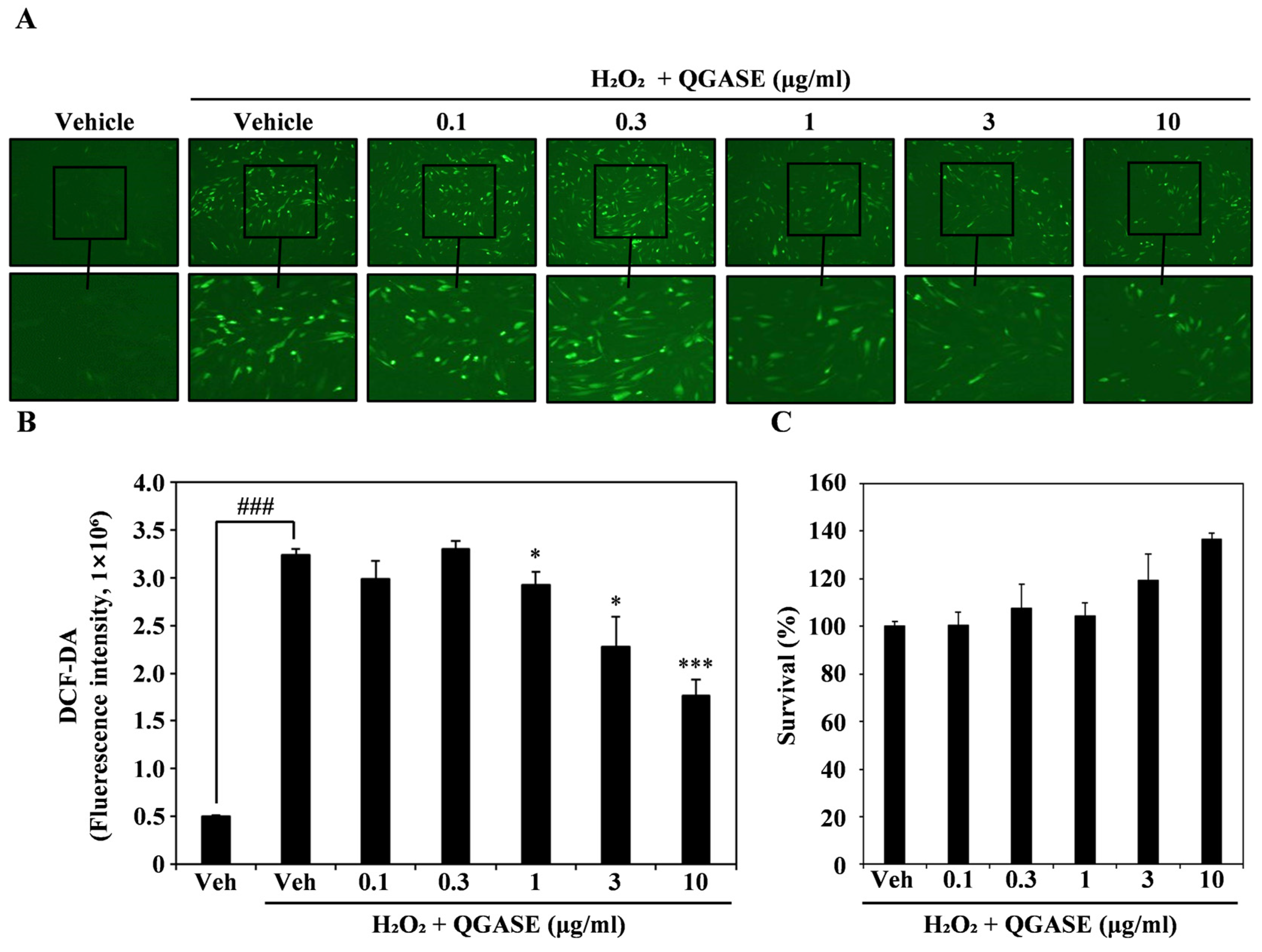 Biology 13 00775 g003 Biology 13 00775 g003