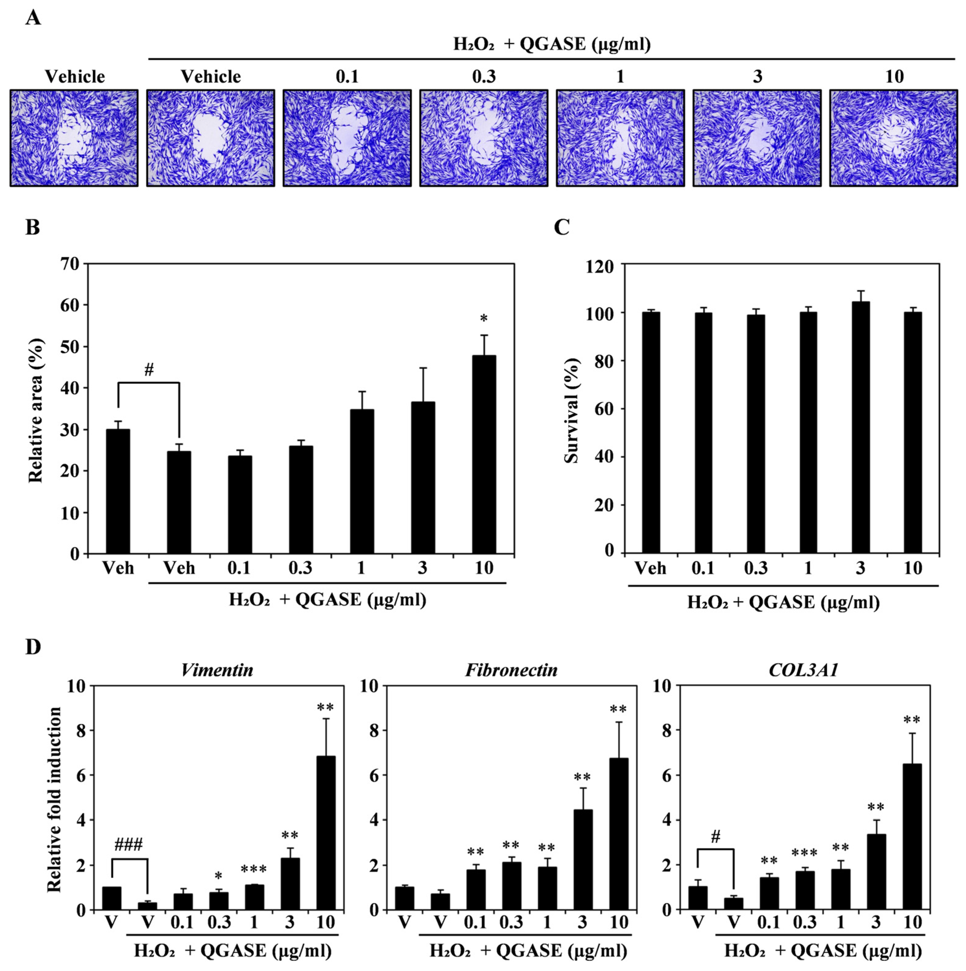 Biology 13 00775 g004 Biology 13 00775 g004