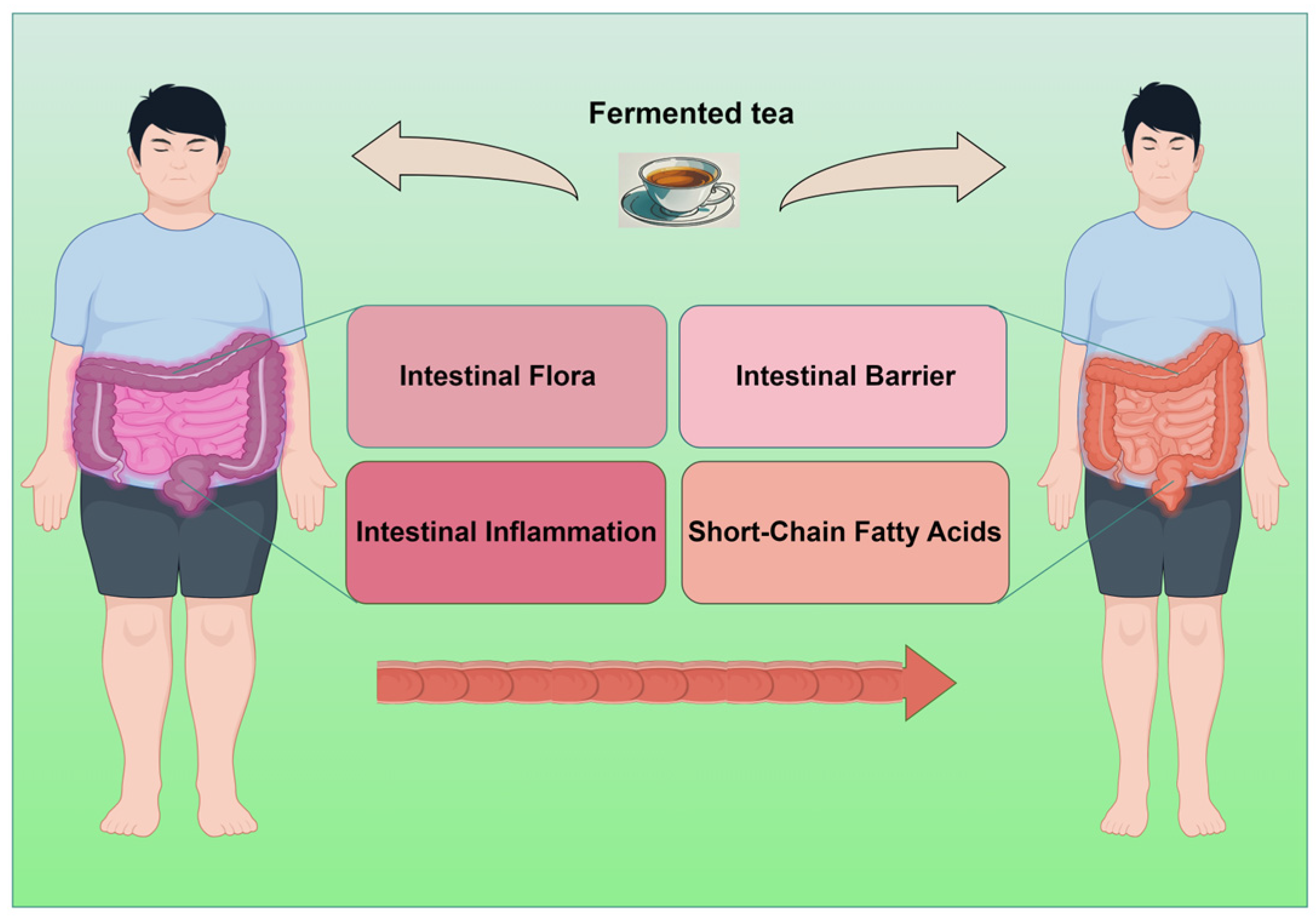 Biology 13 00779 g001