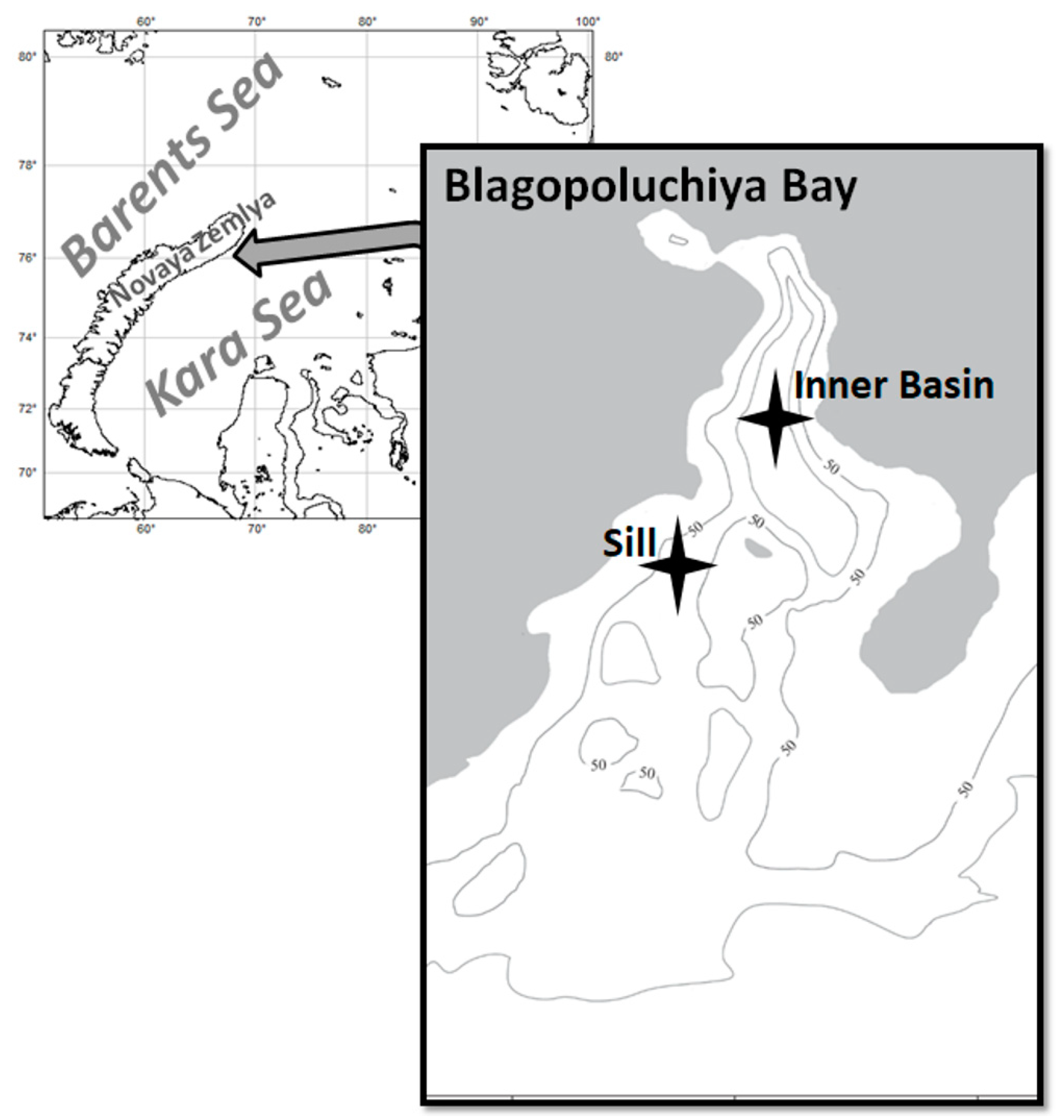 Biology 13 00781 g001