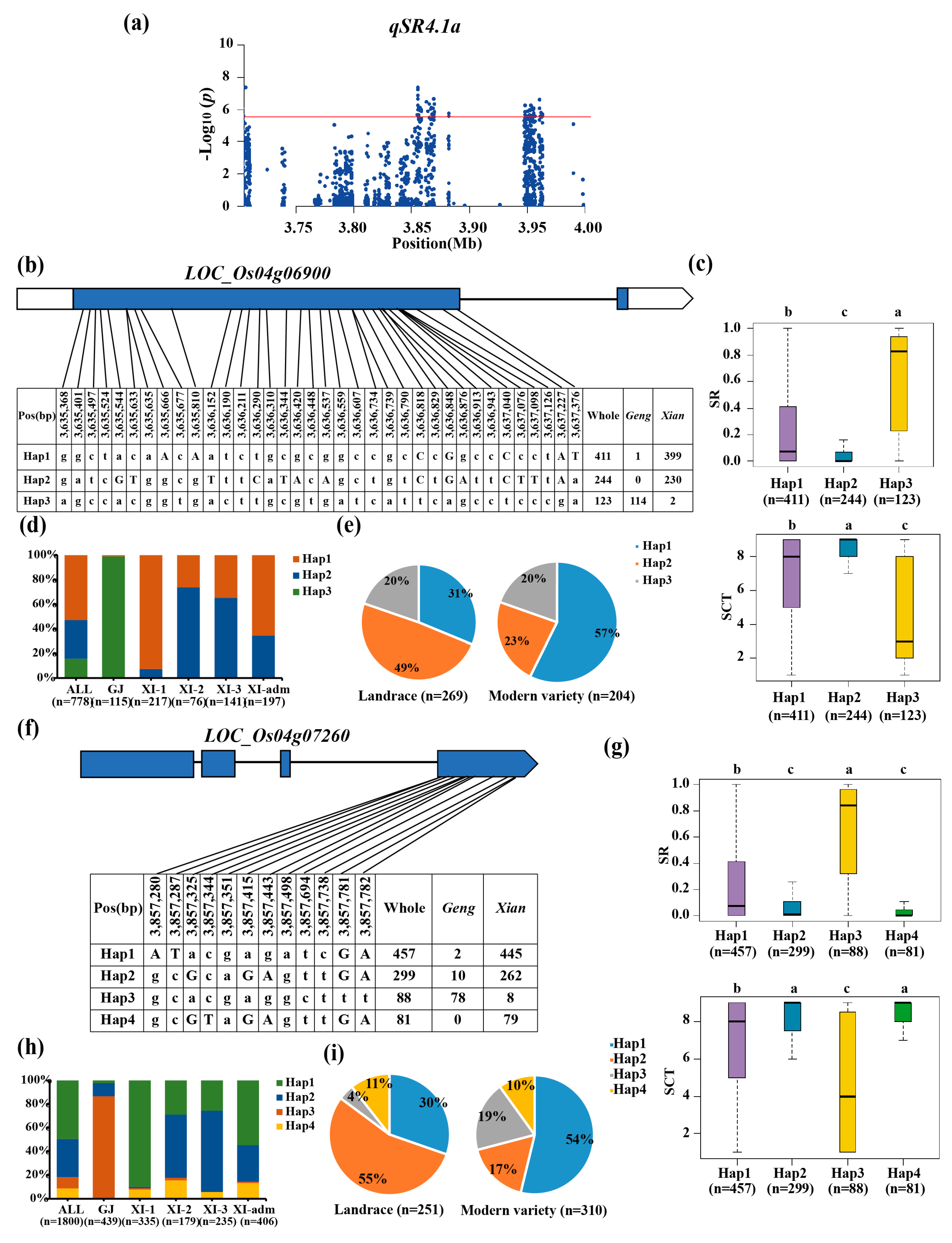 Biology 13 00784 g003
