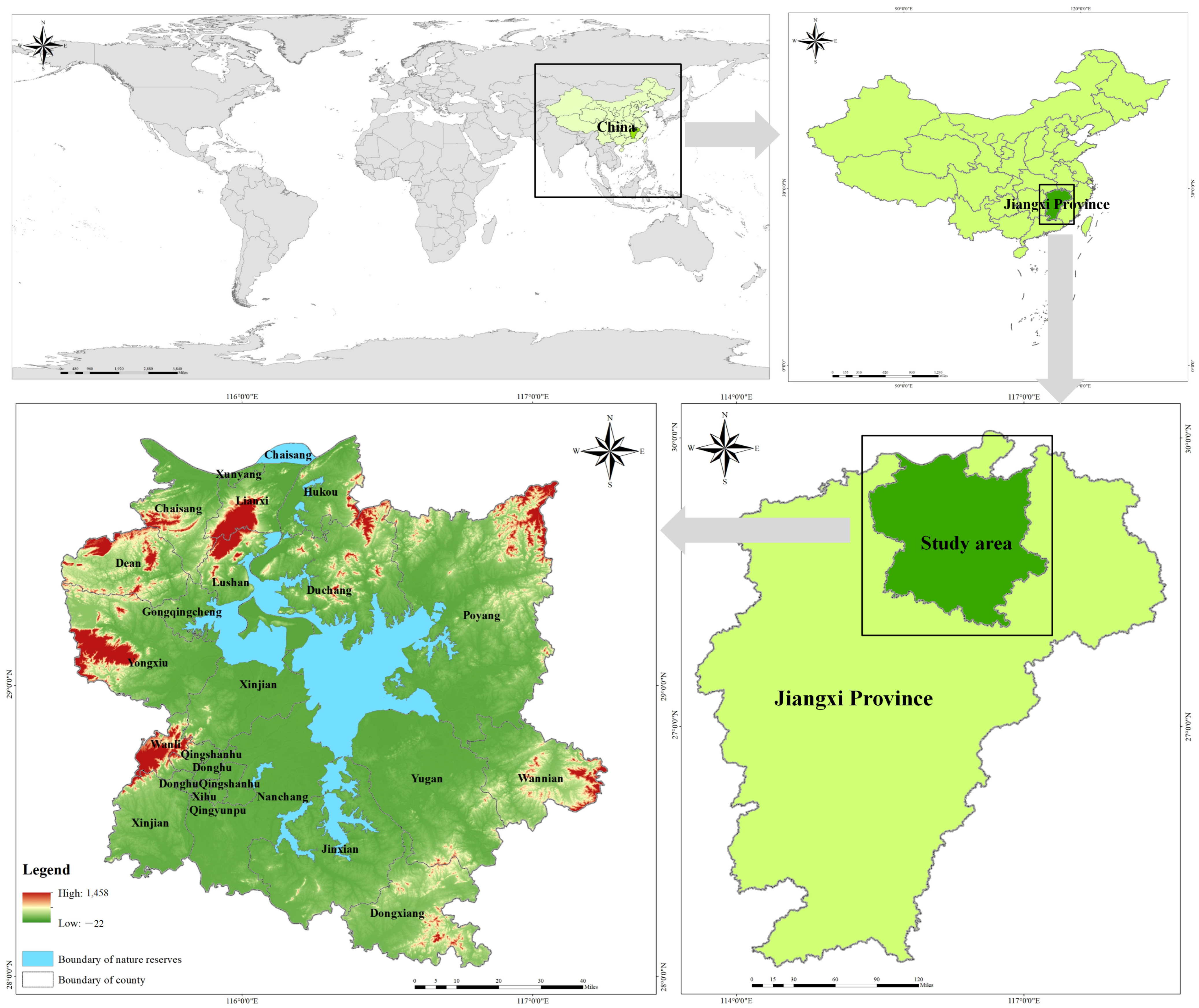 Biology 13 00786 g001