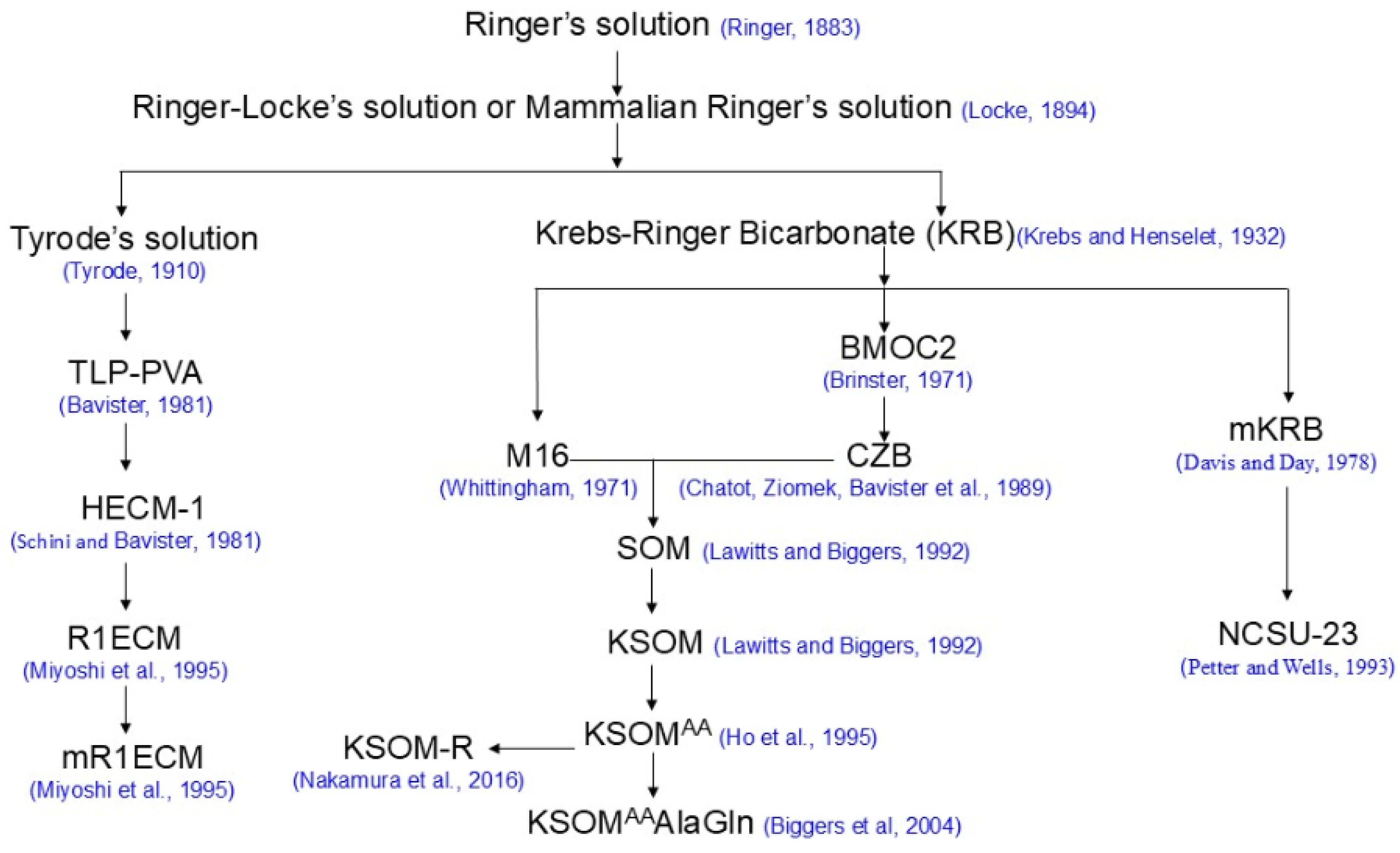 Biology 13 00789 g001 Biology 13 00789 g001