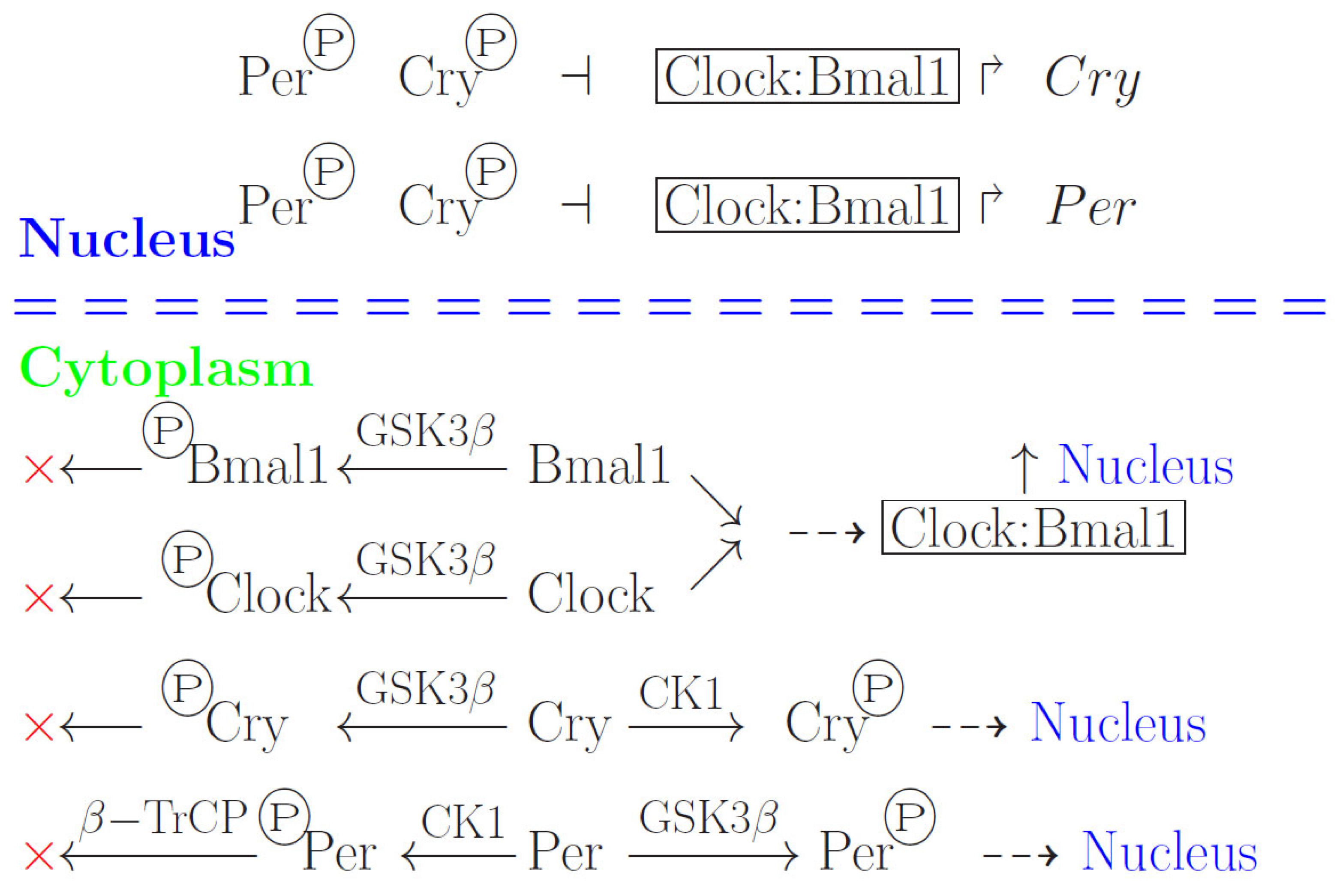Biology 13 00792 g001