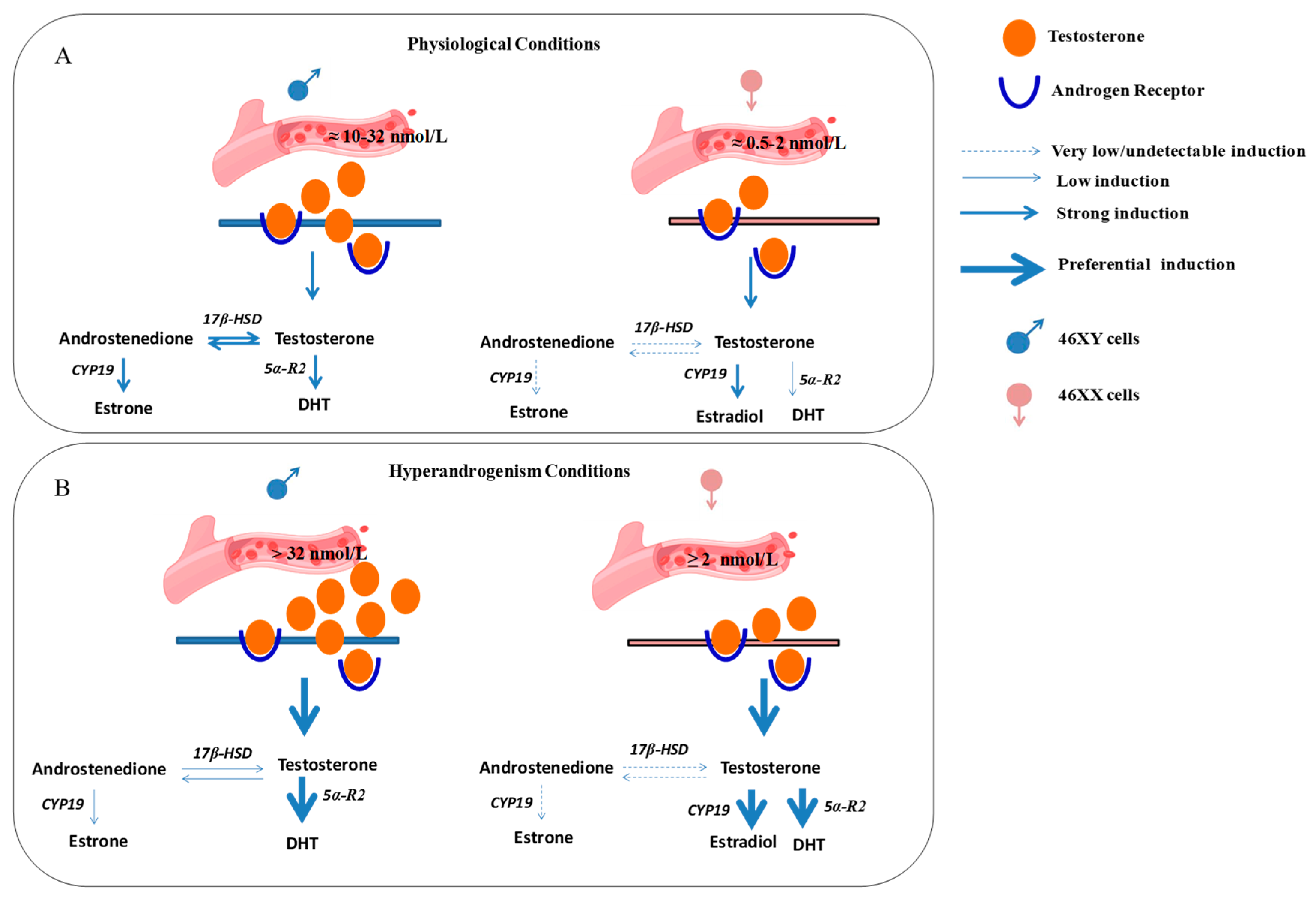 Biology 13 00796 g005