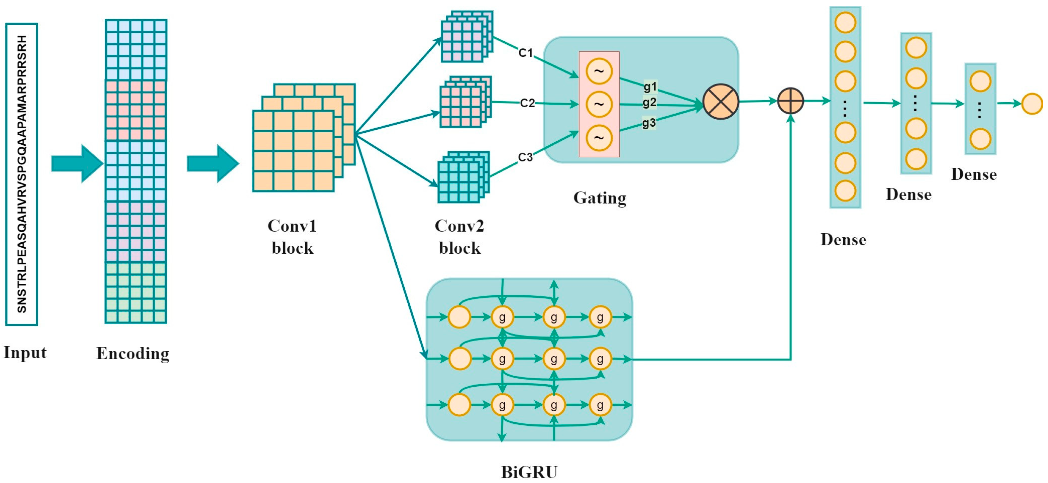 Biology 13 00798 g001