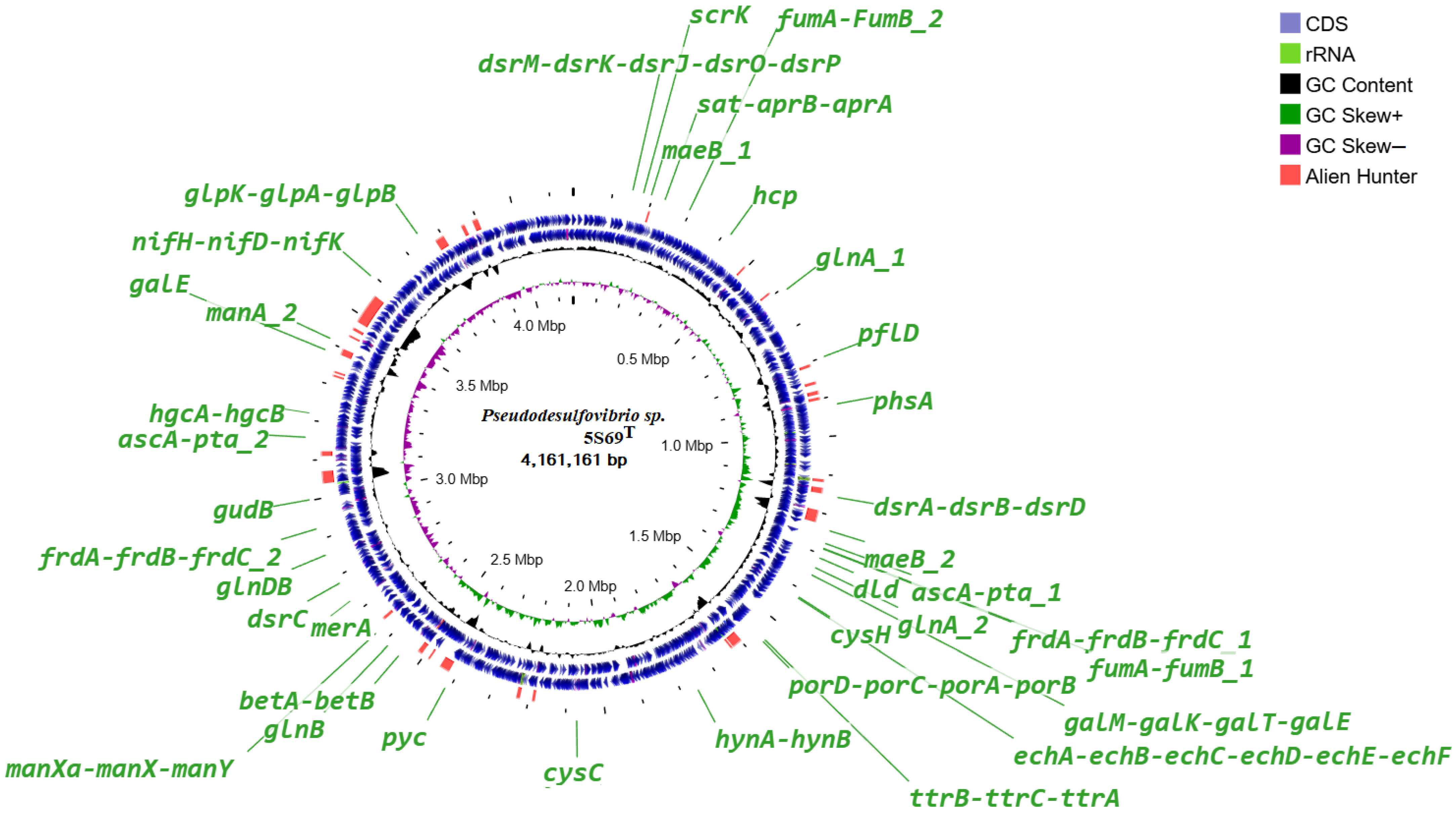Biology 13 00800 g005