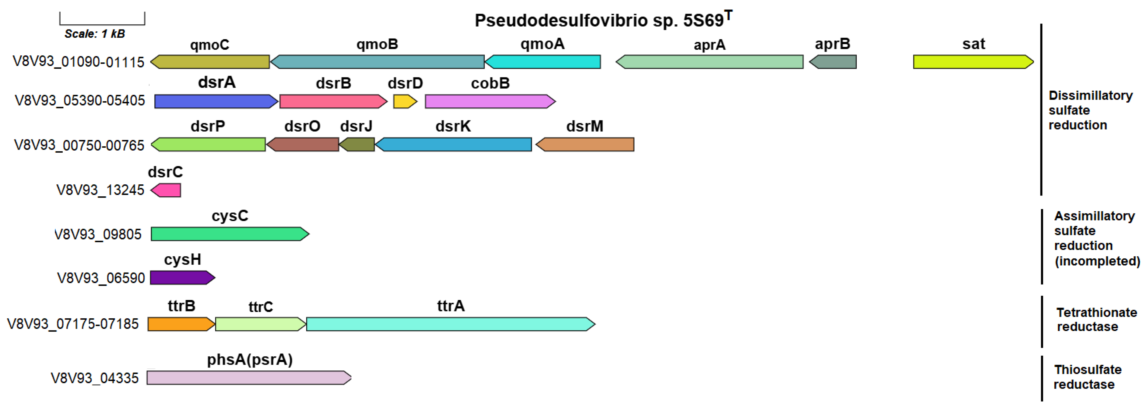 Biology 13 00800 g006