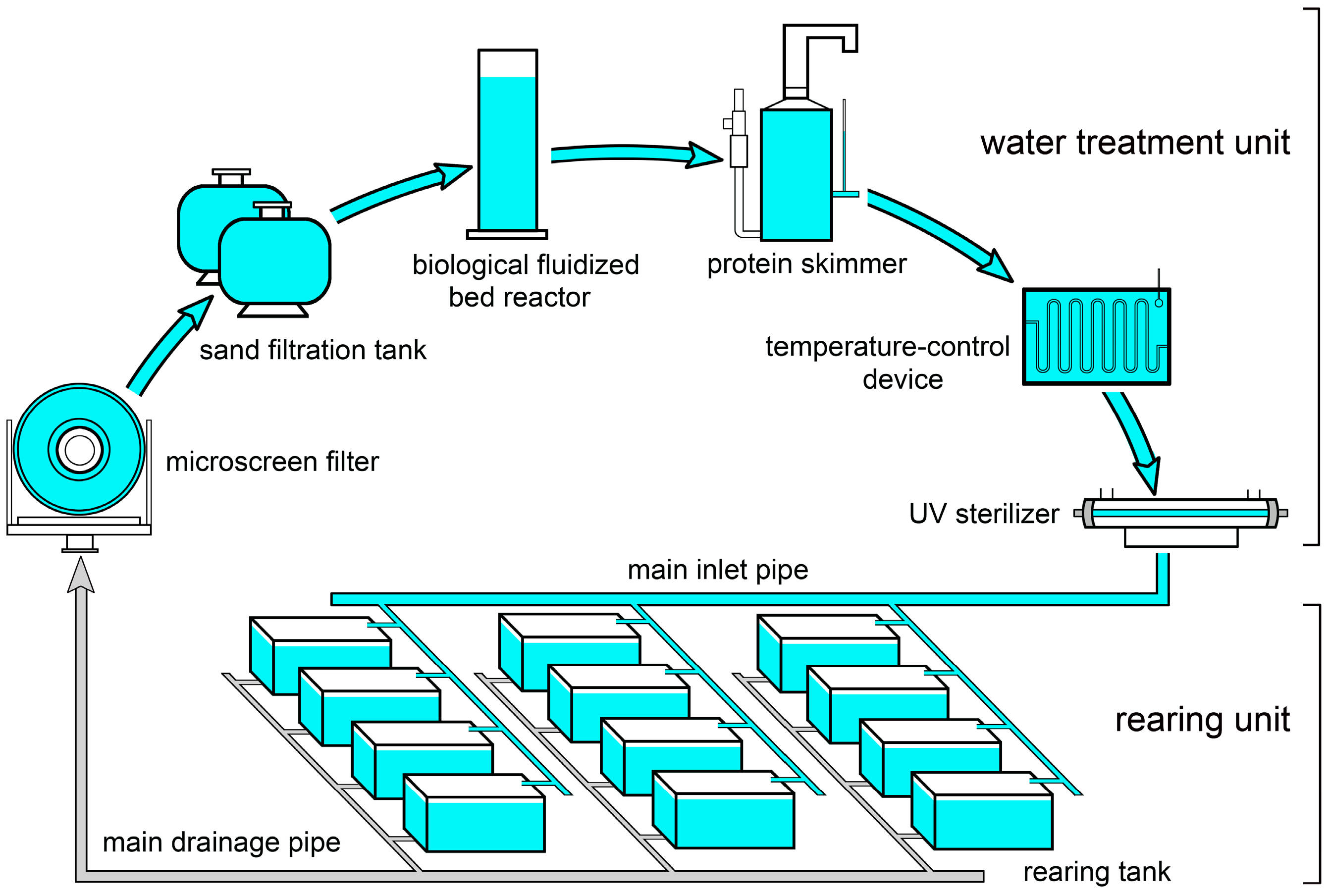 Biology 13 00807 g001