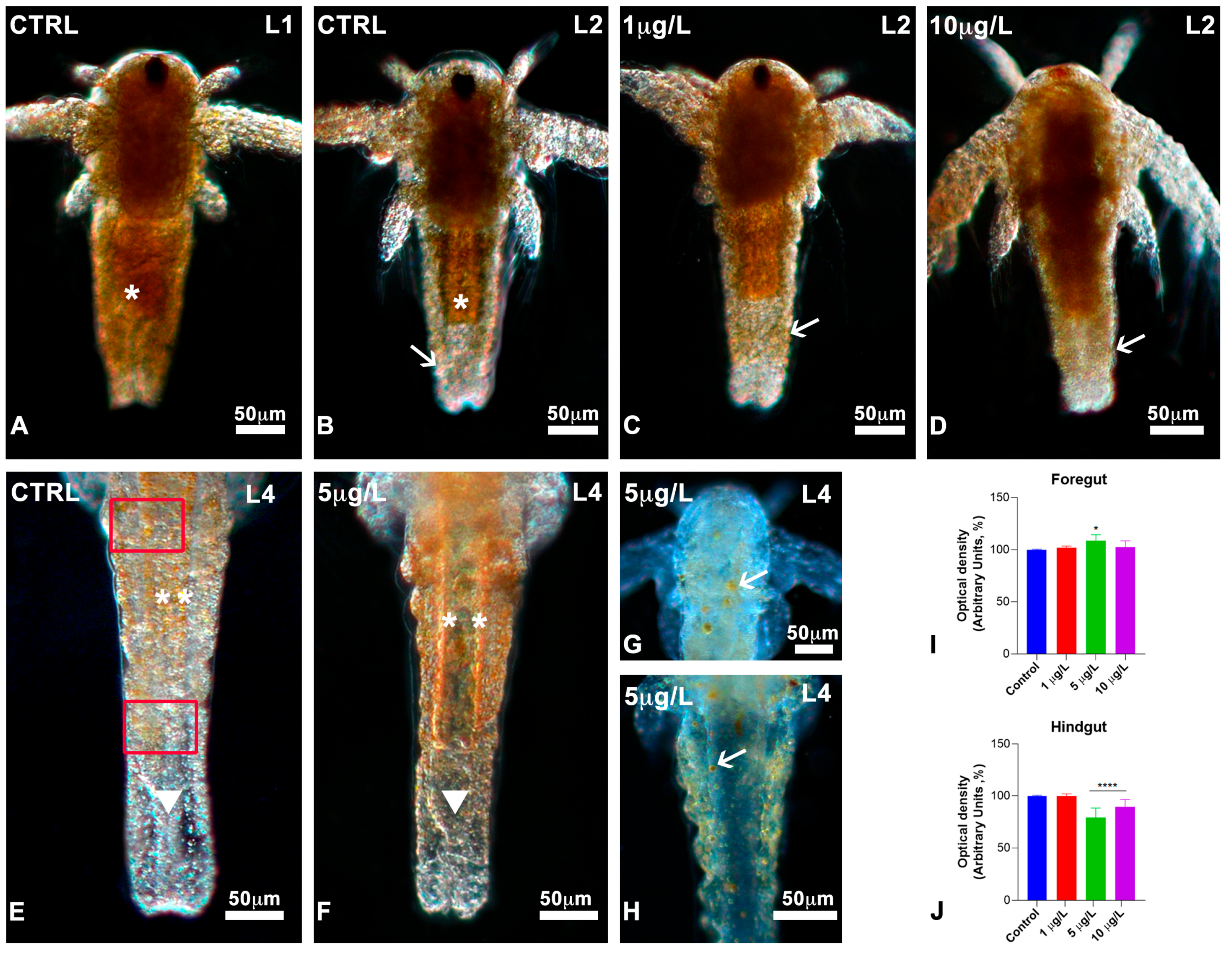 Biology 13 00808 g005 Biology 13 00808 g005