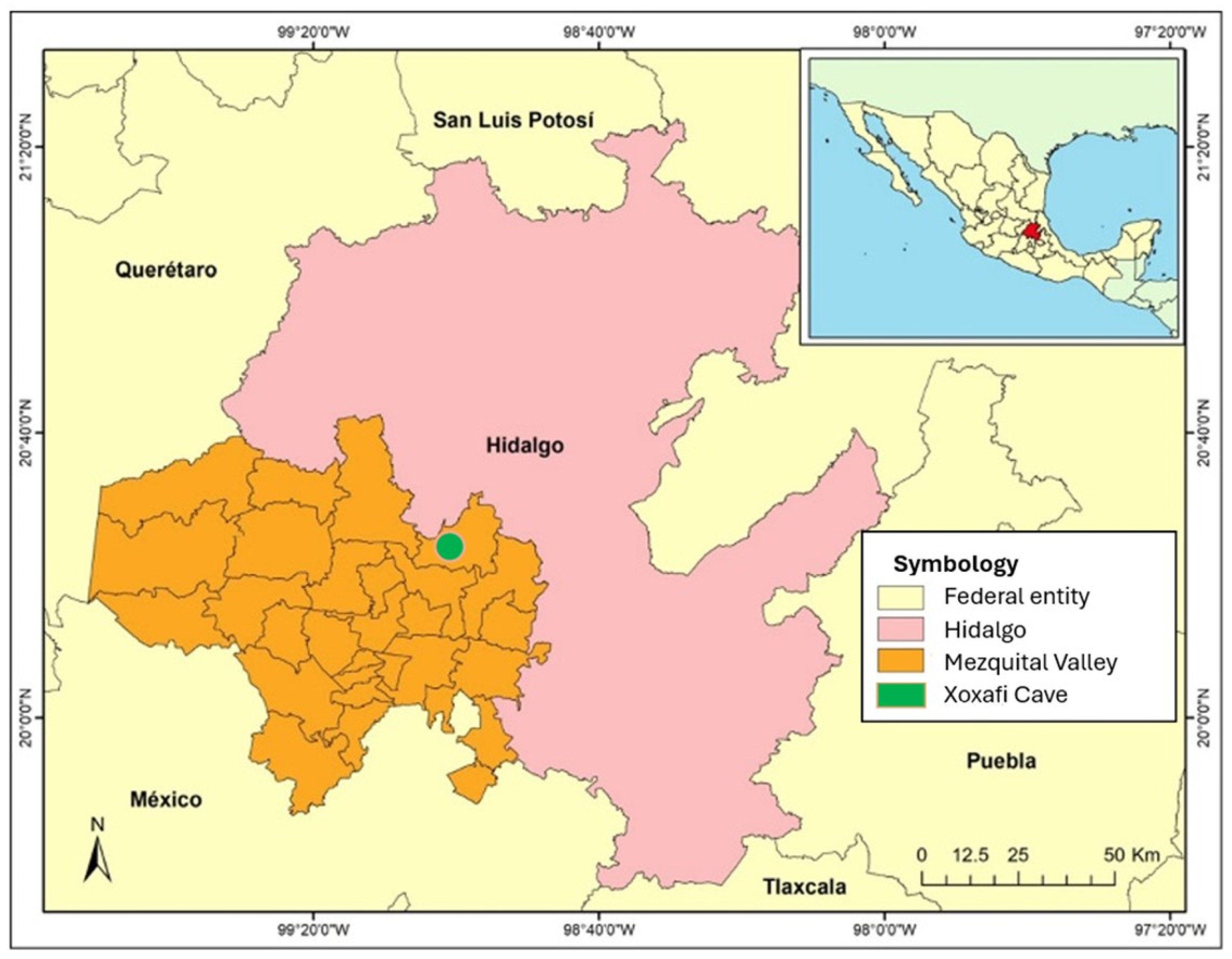 Biology 13 00811 g001