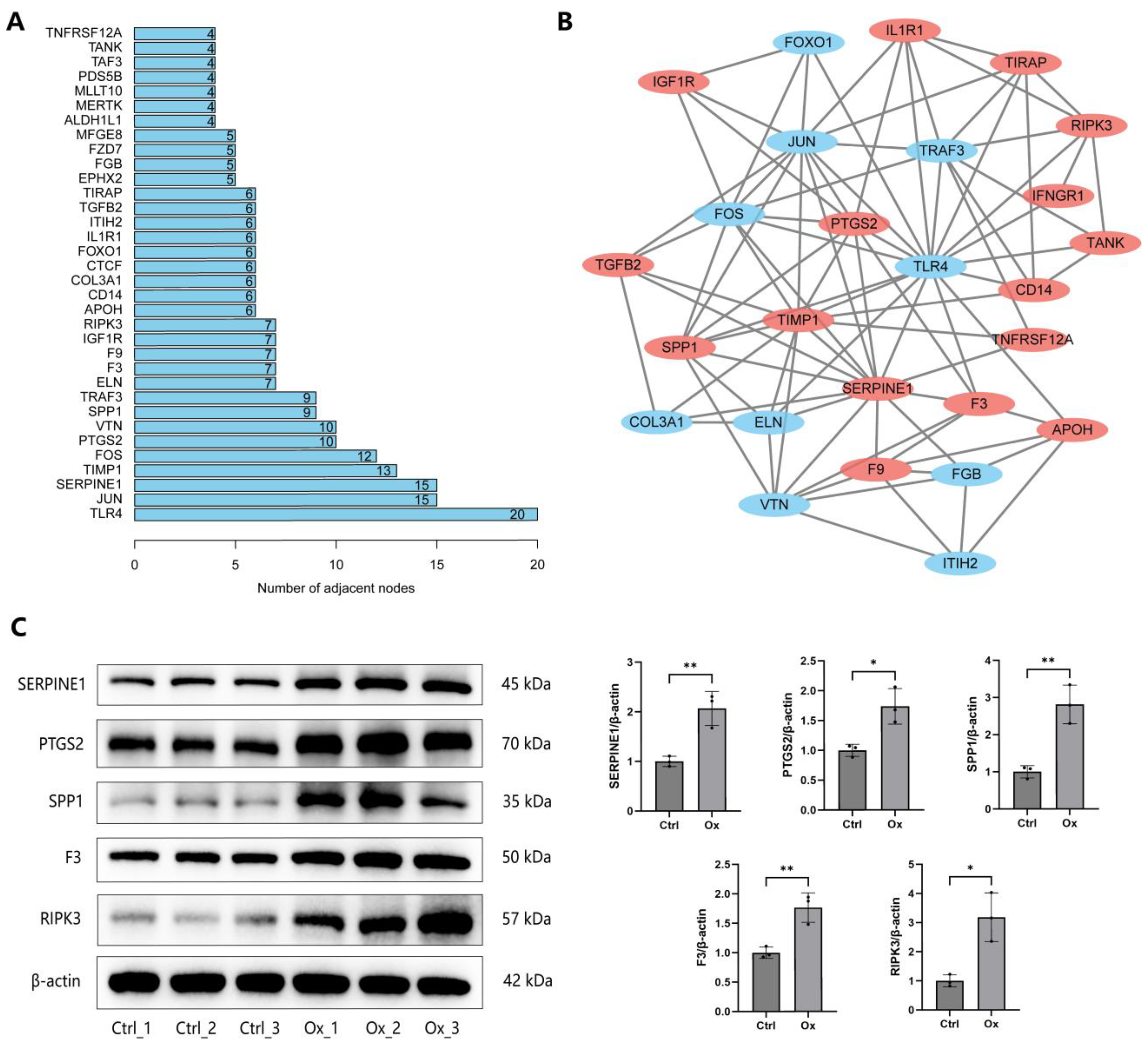 Biology 13 00814 g006 Biology 13 00814 g006