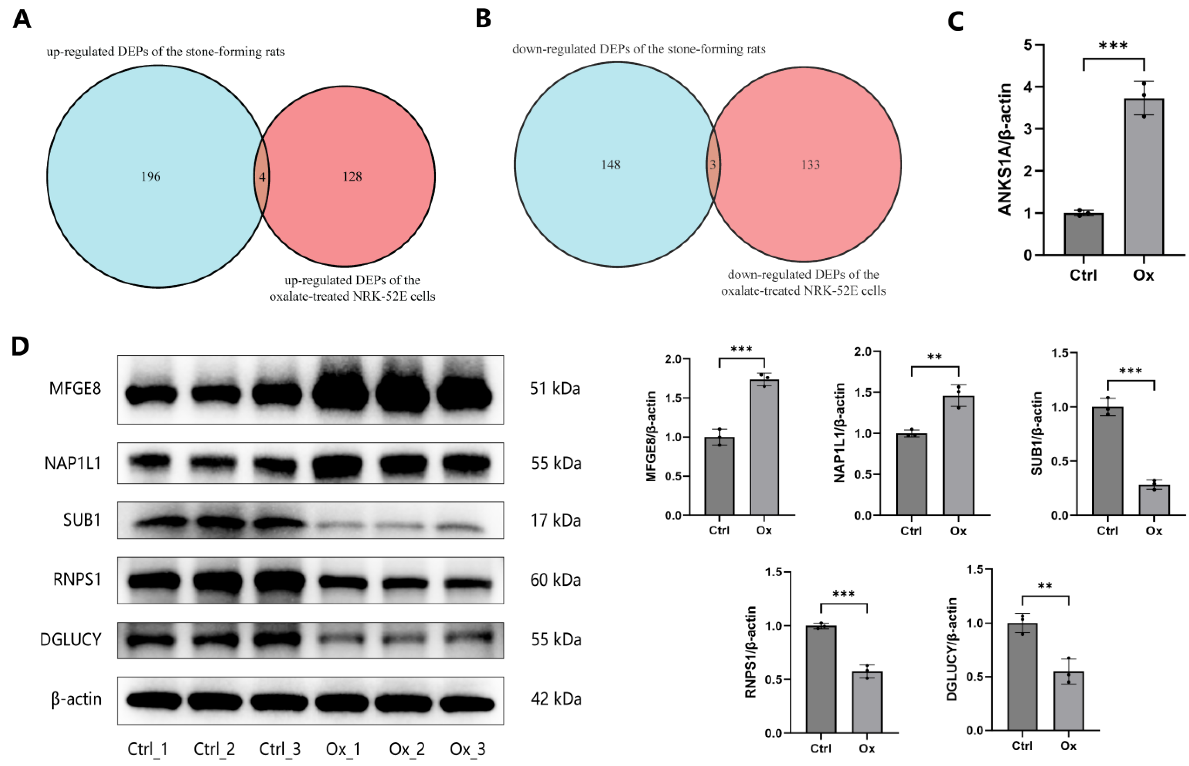 Biology 13 00814 g007 Biology 13 00814 g007