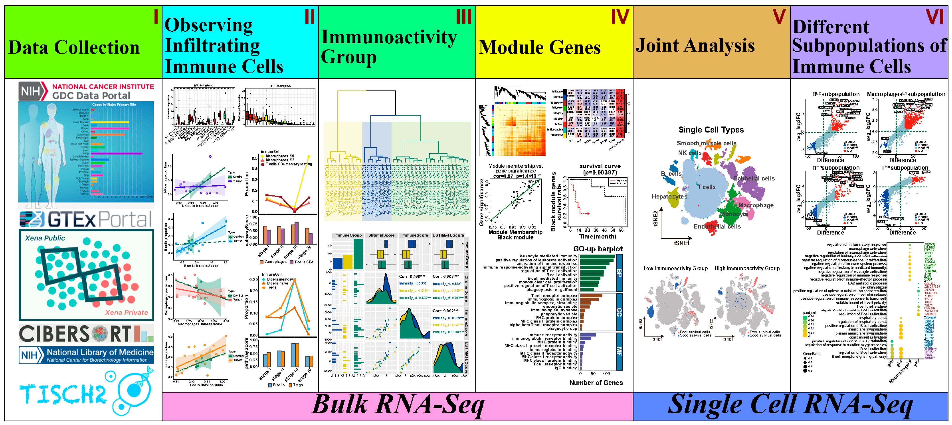 Biology 13 00816 g001 Biology 13 00816 g001