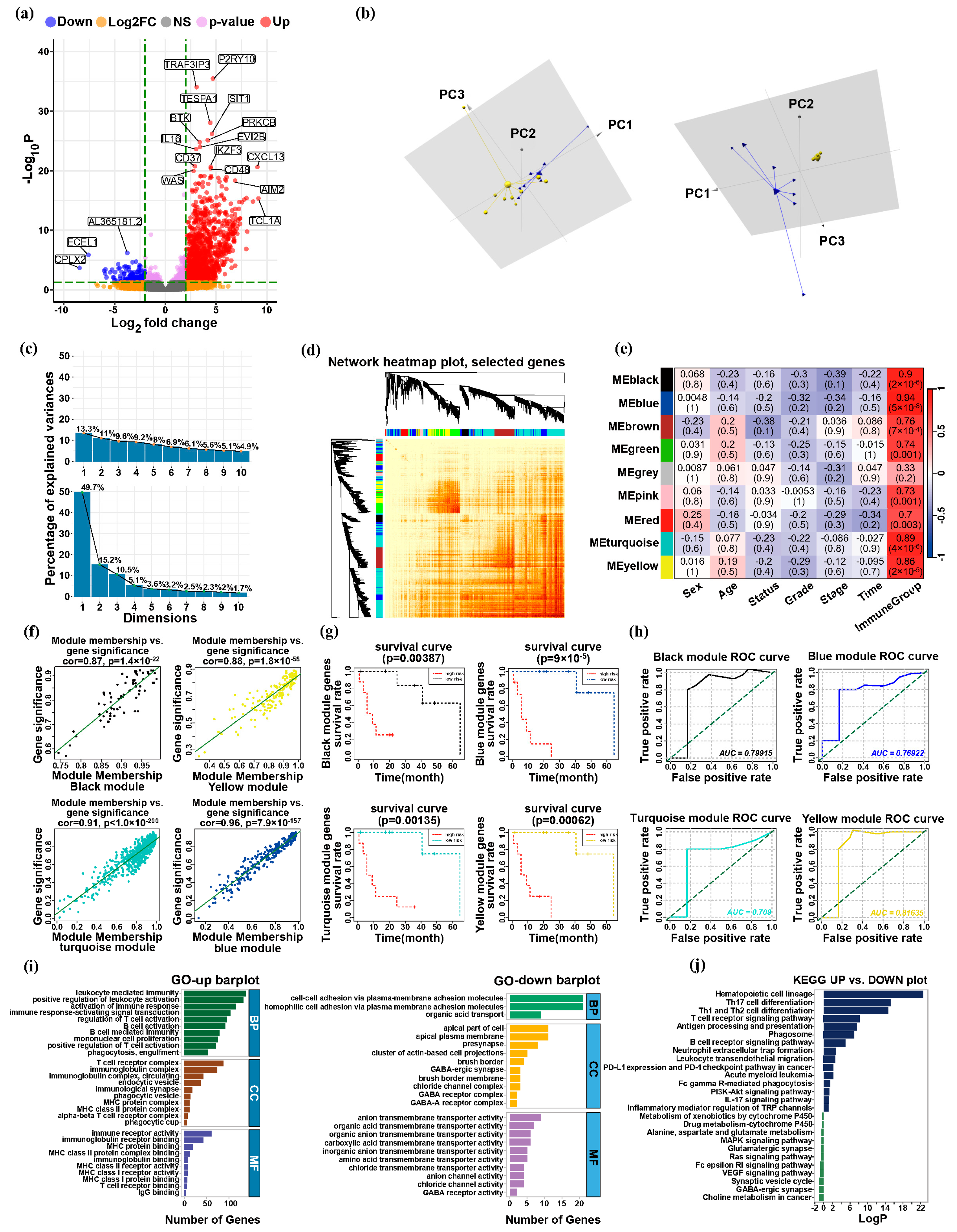 Biology 13 00816 g004 Biology 13 00816 g004