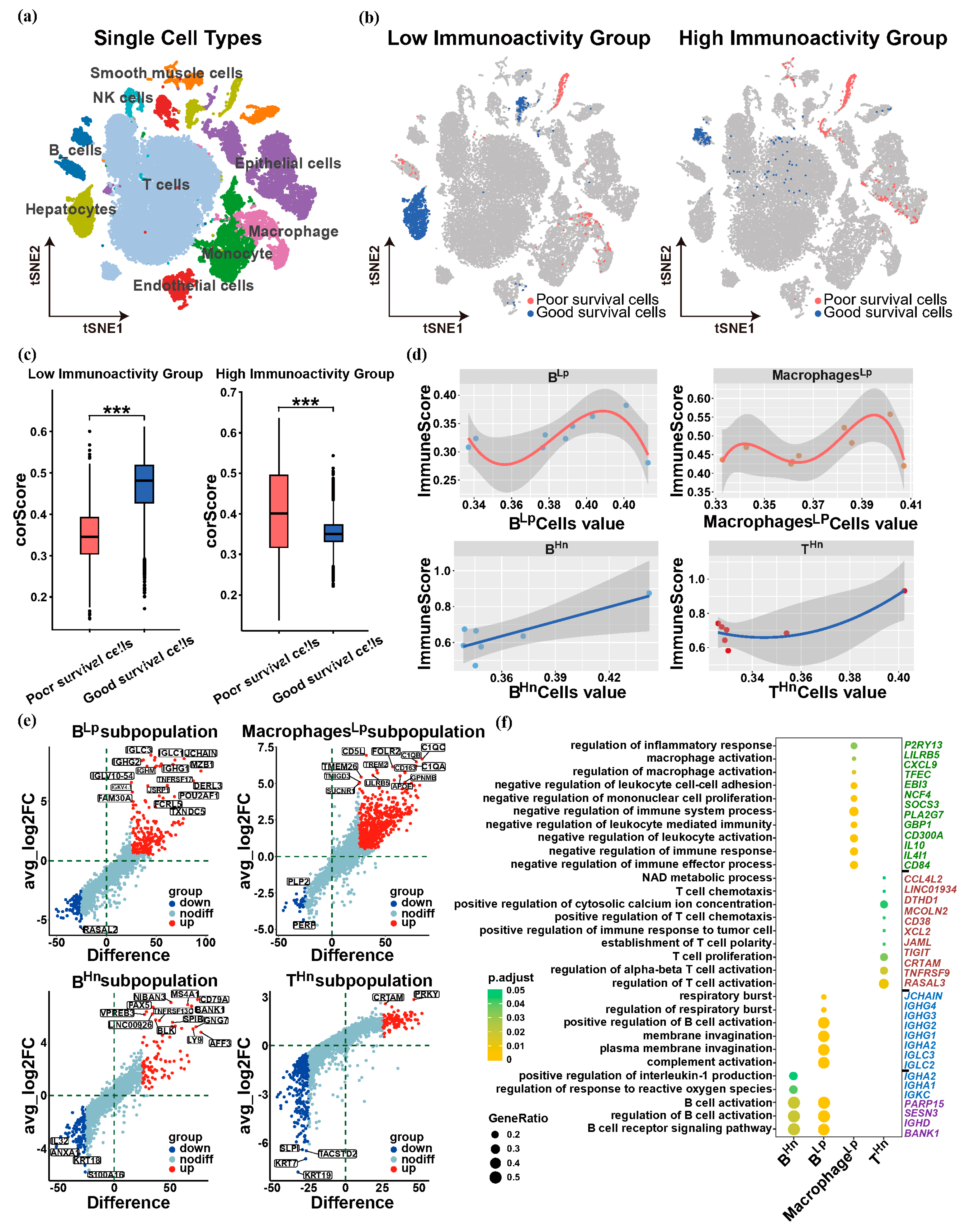 Biology 13 00816 g005 Biology 13 00816 g005