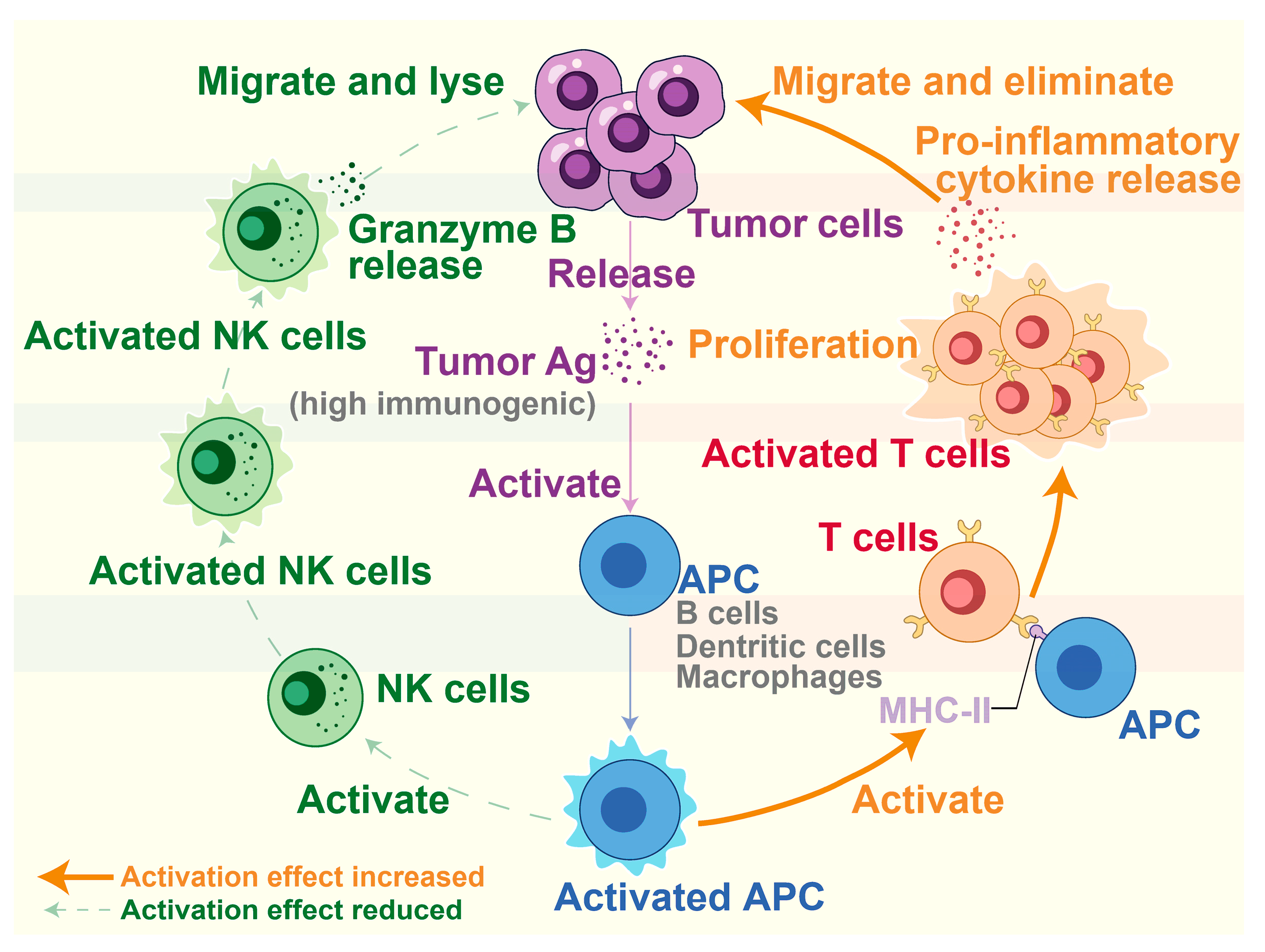 Biology 13 00816 g006 Biology 13 00816 g006