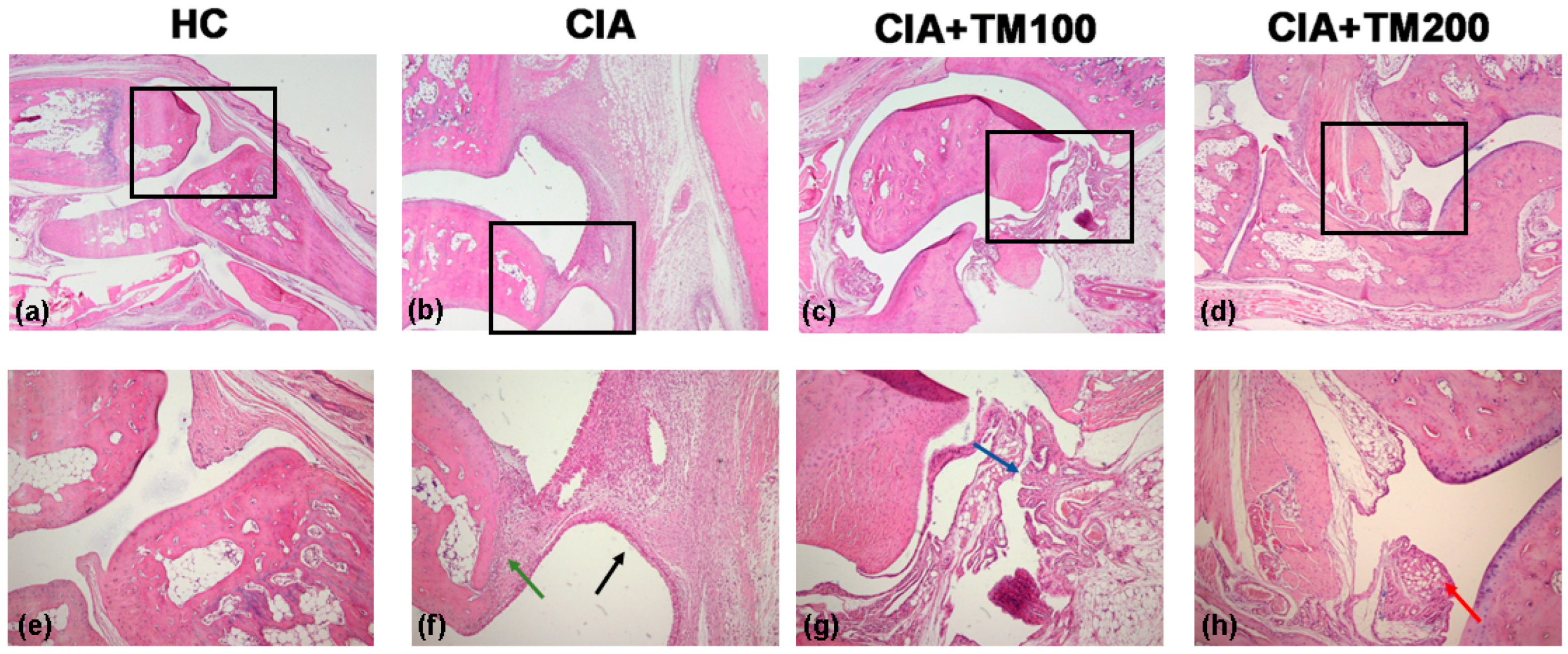 Biology 13 00818 g002