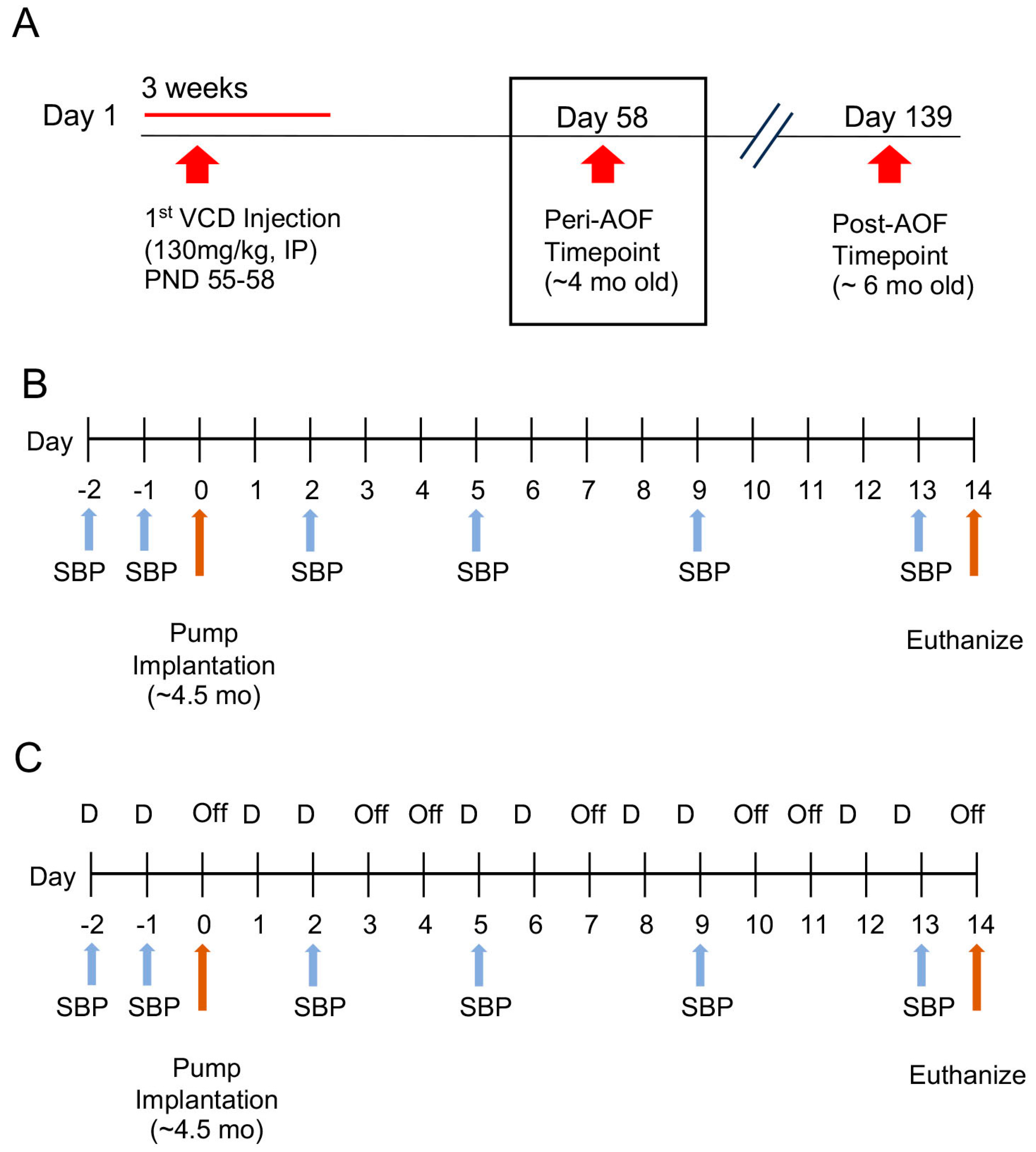 Biology 13 00819 g001 Biology 13 00819 g001