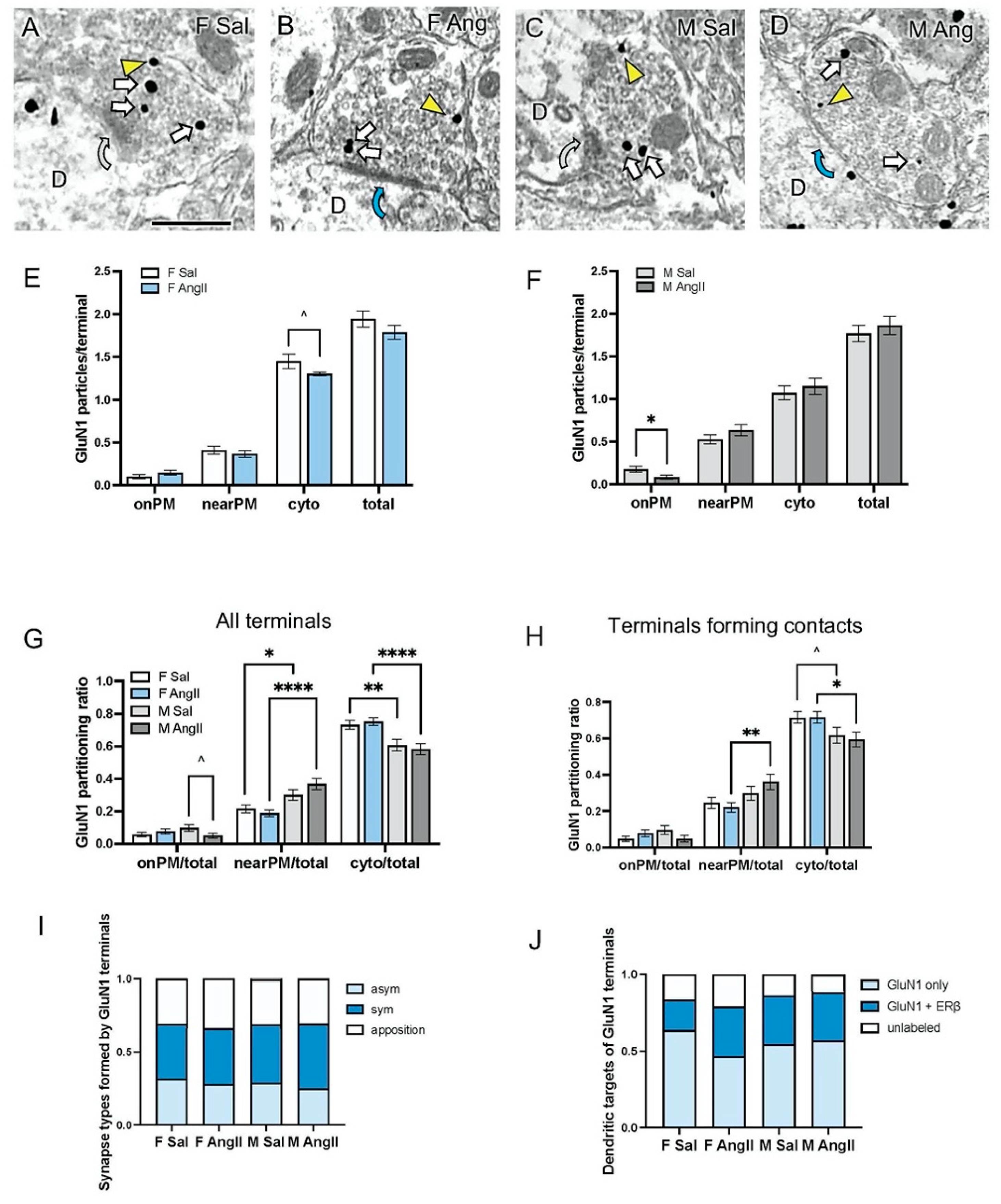 Biology 13 00819 g003 Biology 13 00819 g003