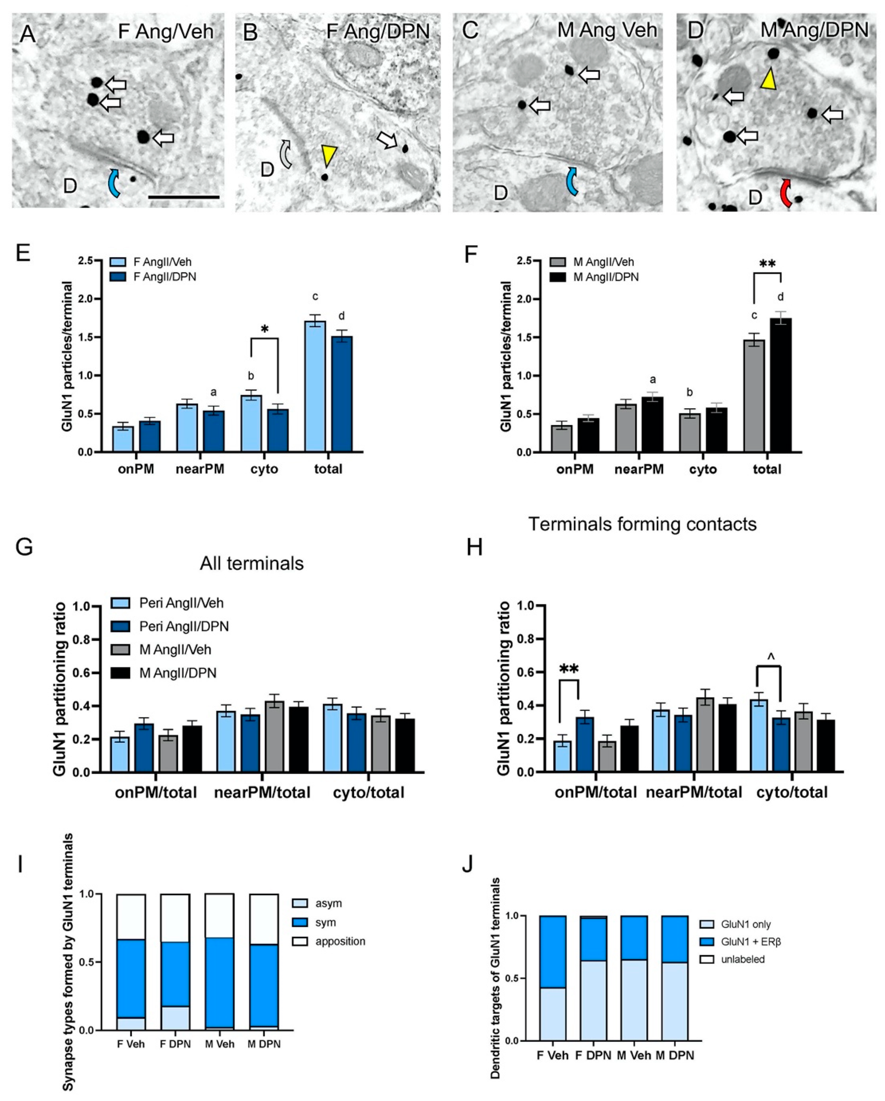 Biology 13 00819 g004 Biology 13 00819 g004