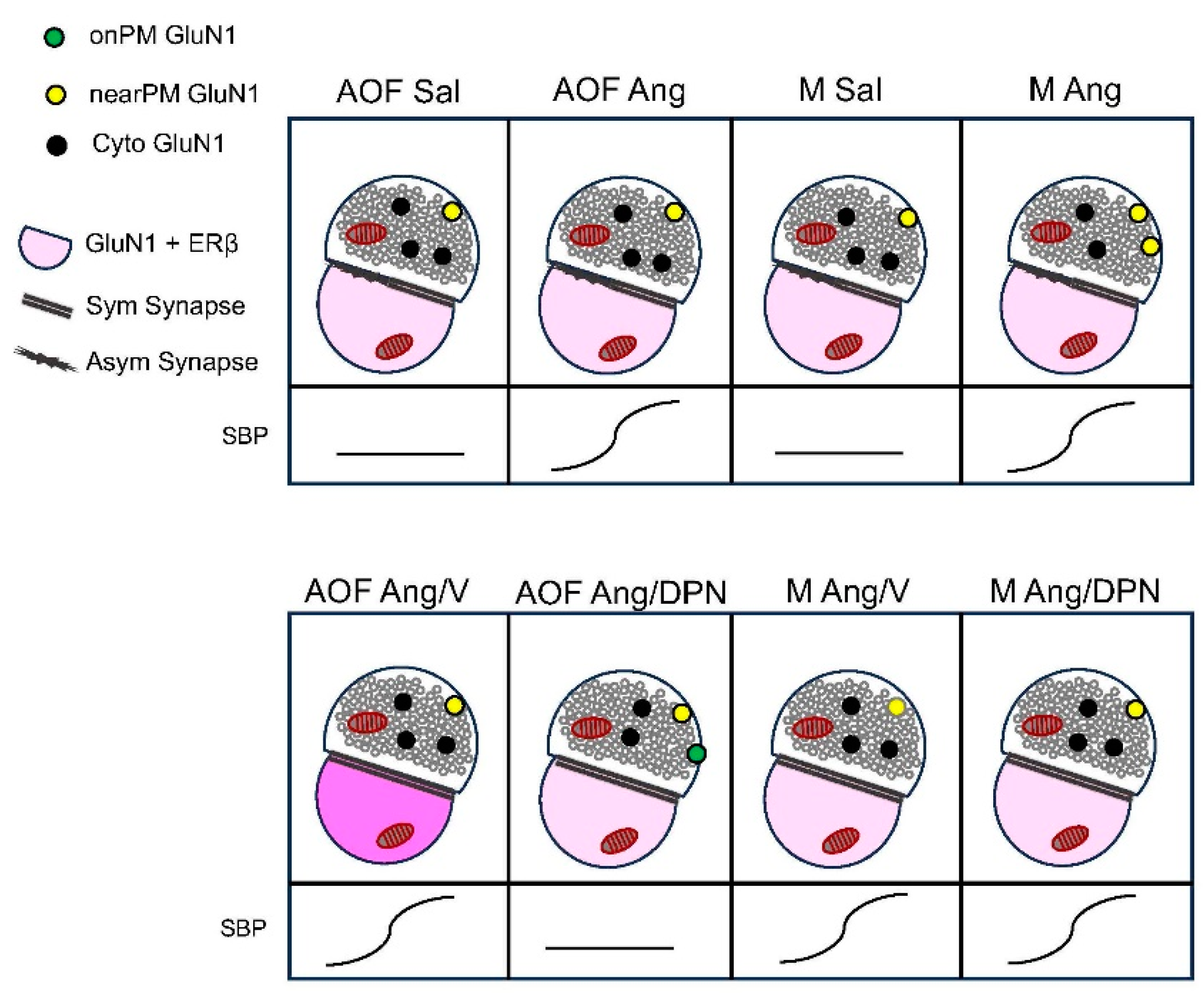 Biology 13 00819 g005 Biology 13 00819 g005