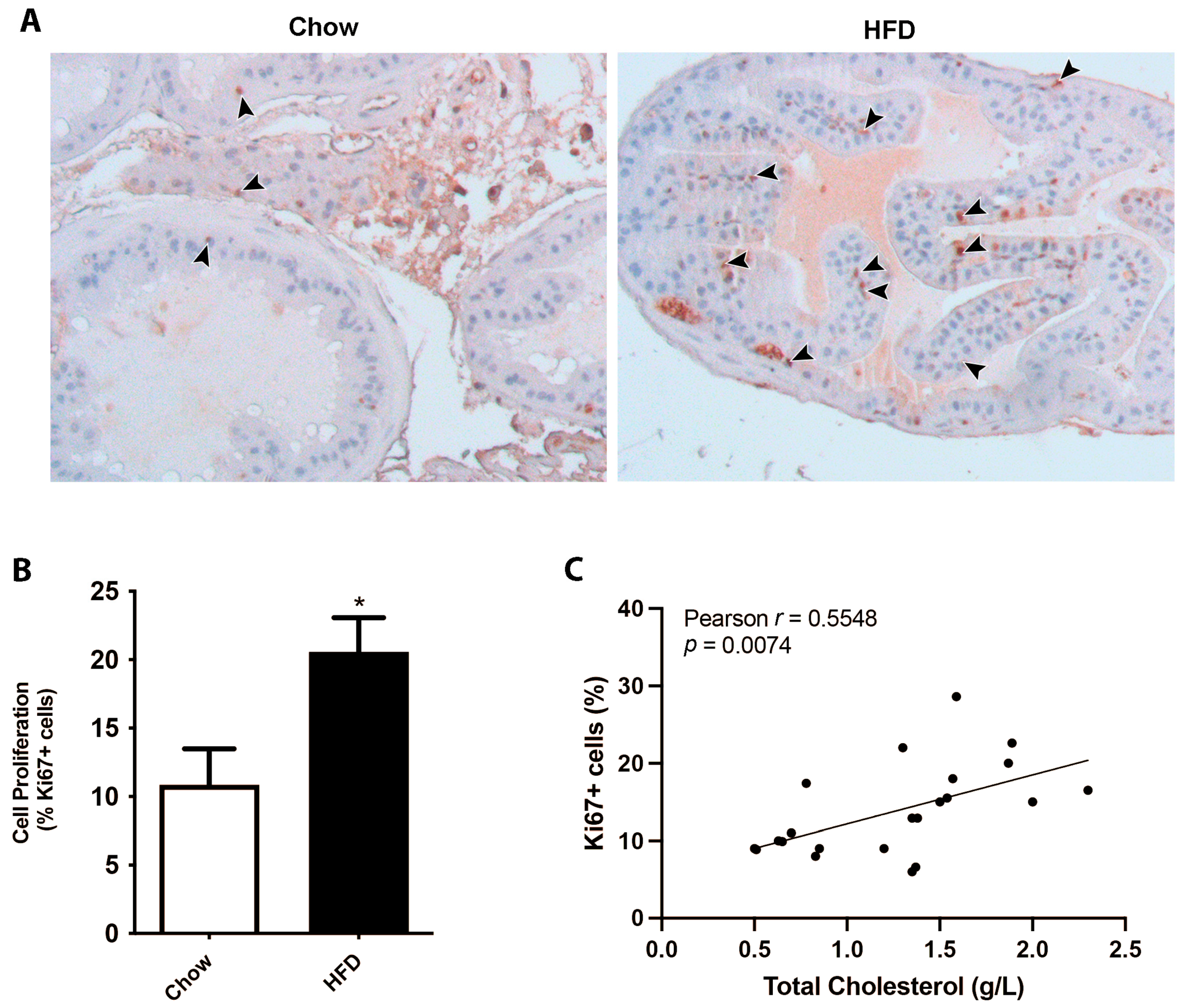 Biology 13 00827 g001