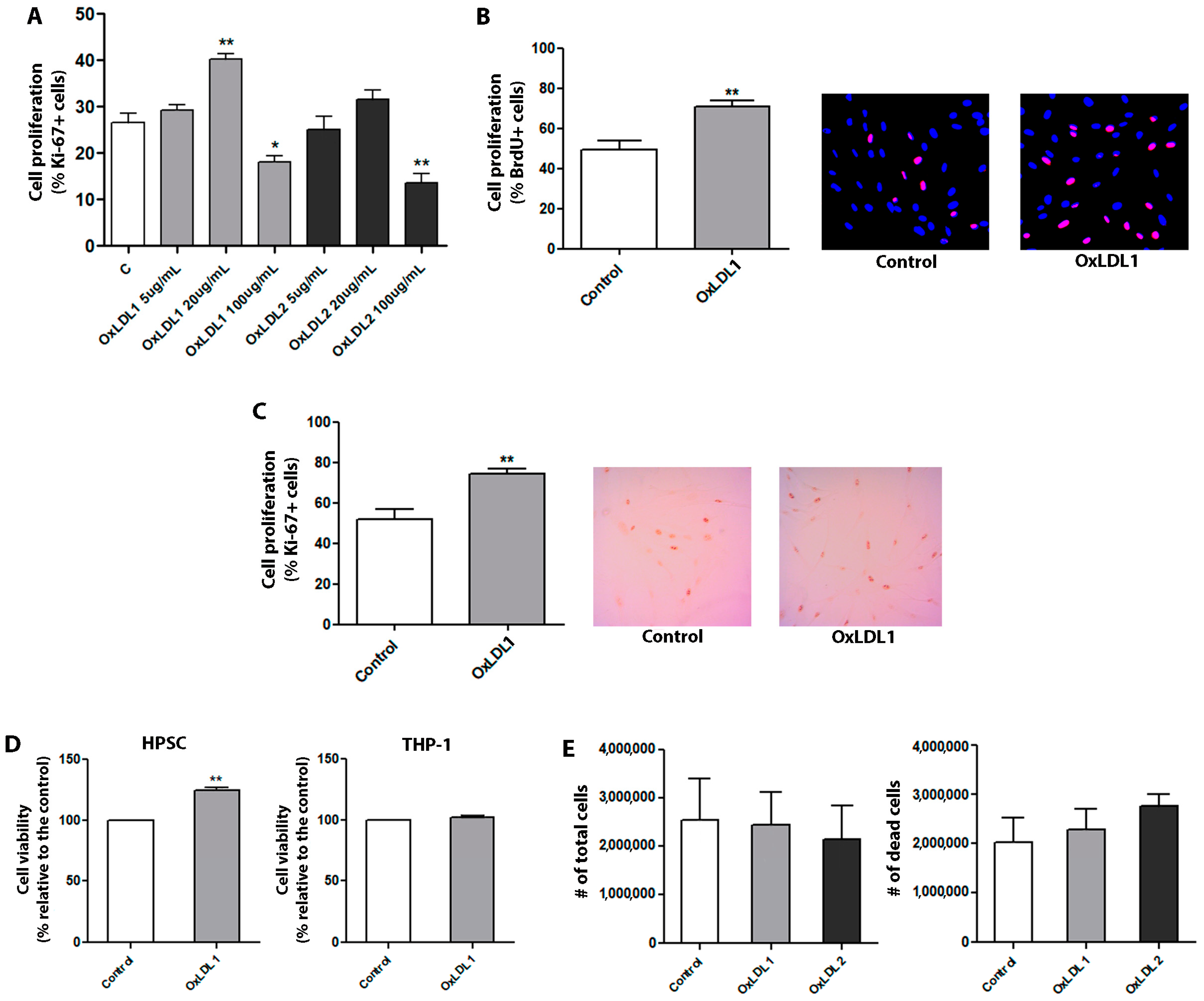 Biology 13 00827 g002
