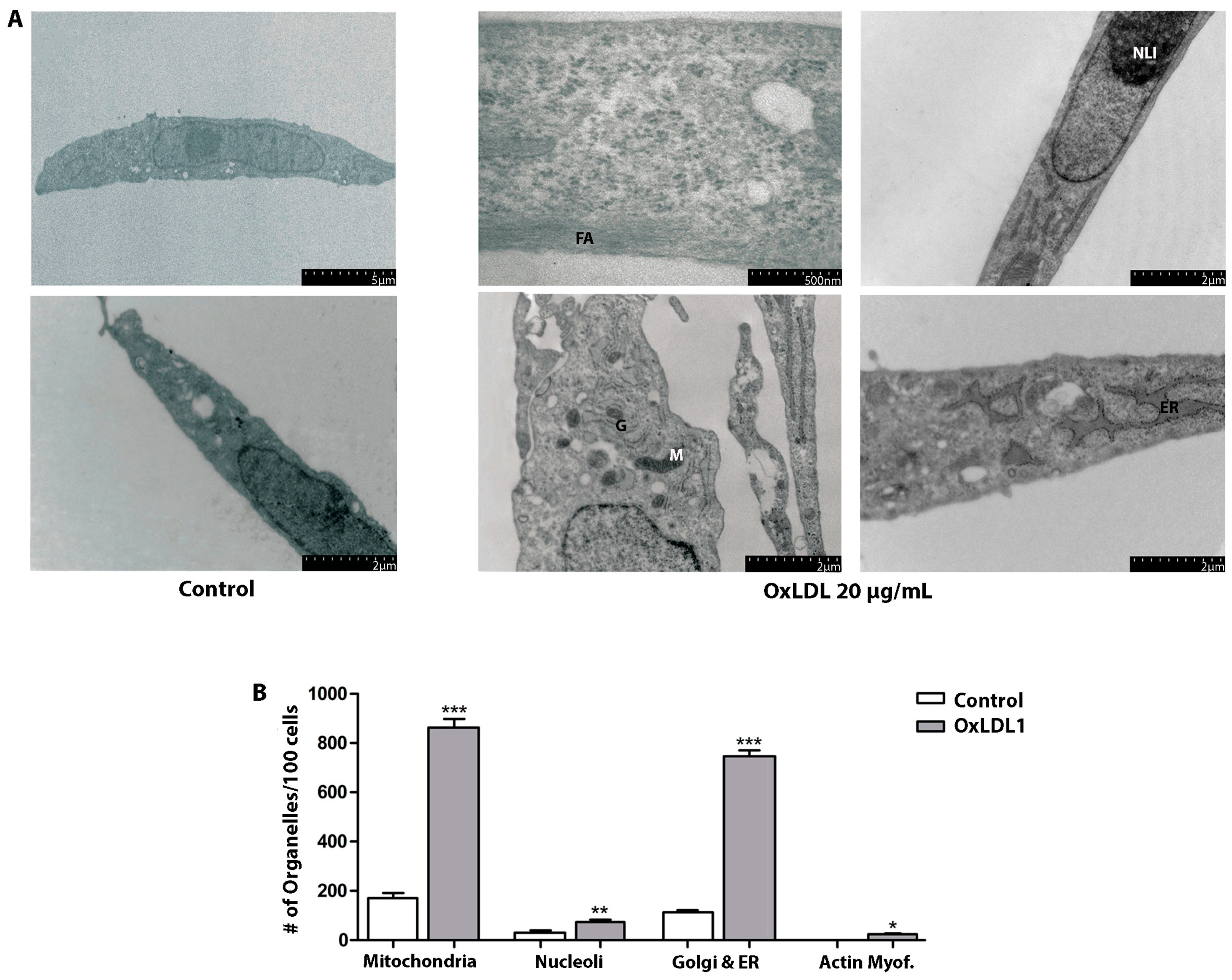 Biology 13 00827 g003