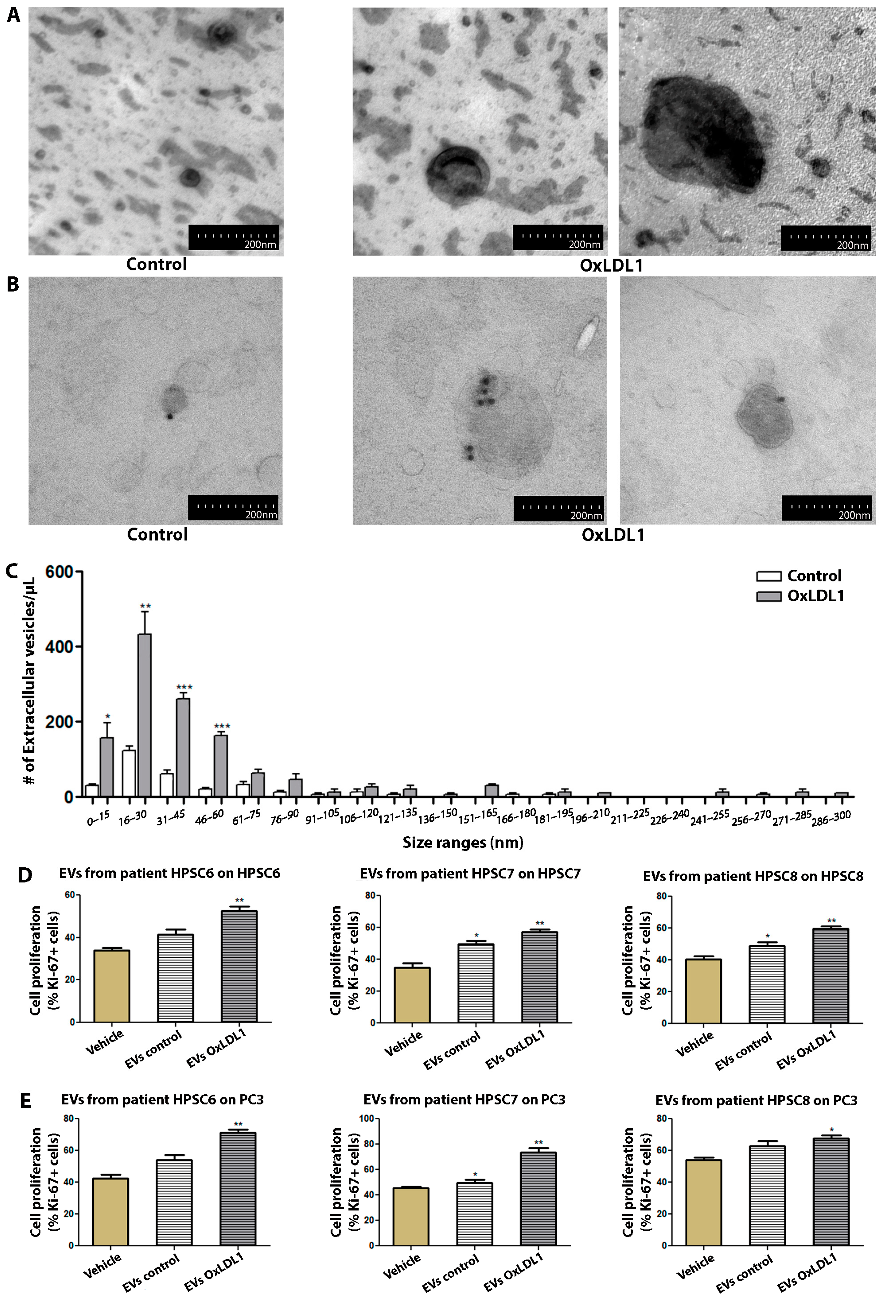 Biology 13 00827 g005