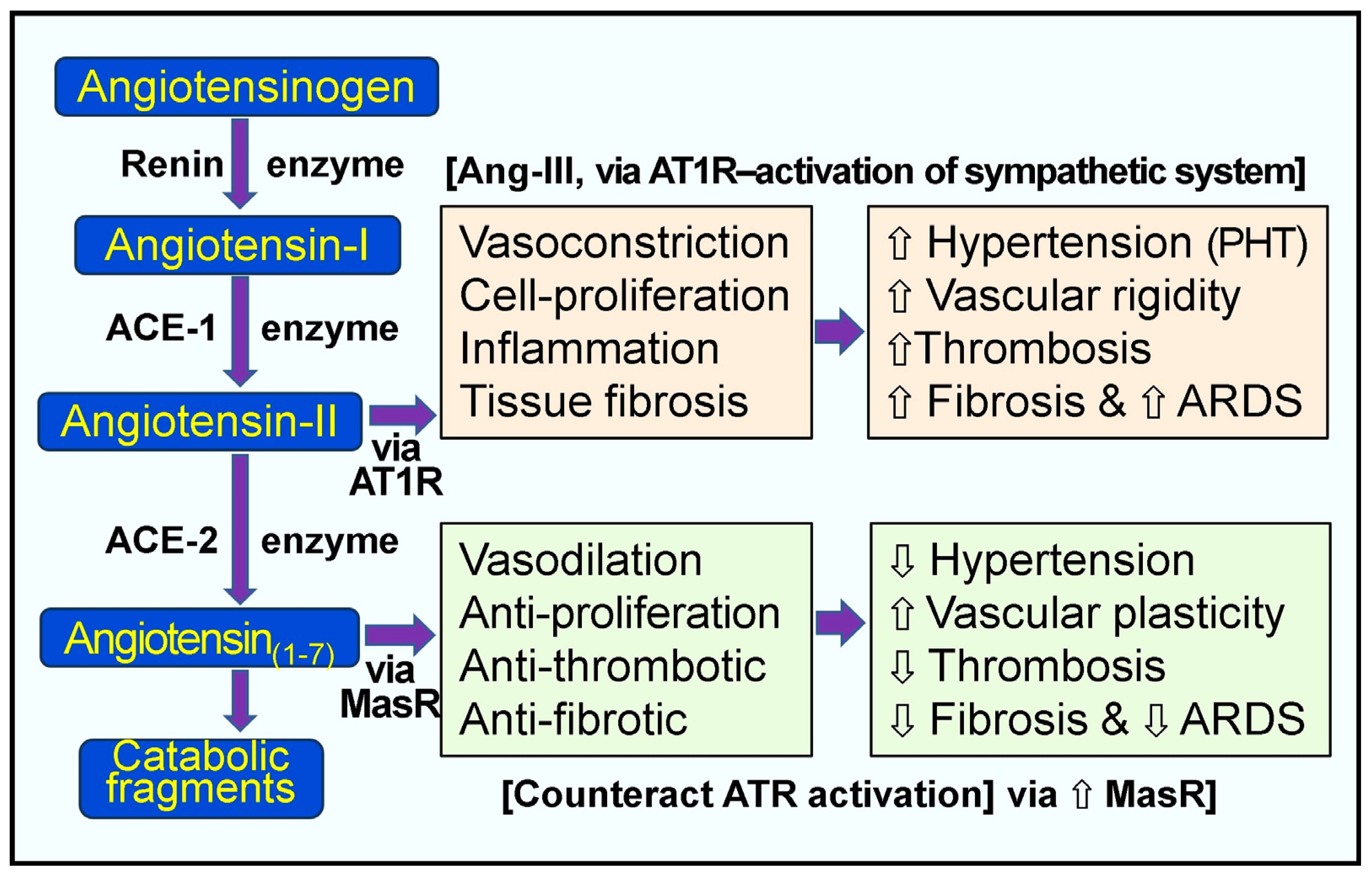Biology 13 00831 g002 Biology 13 00831 g002