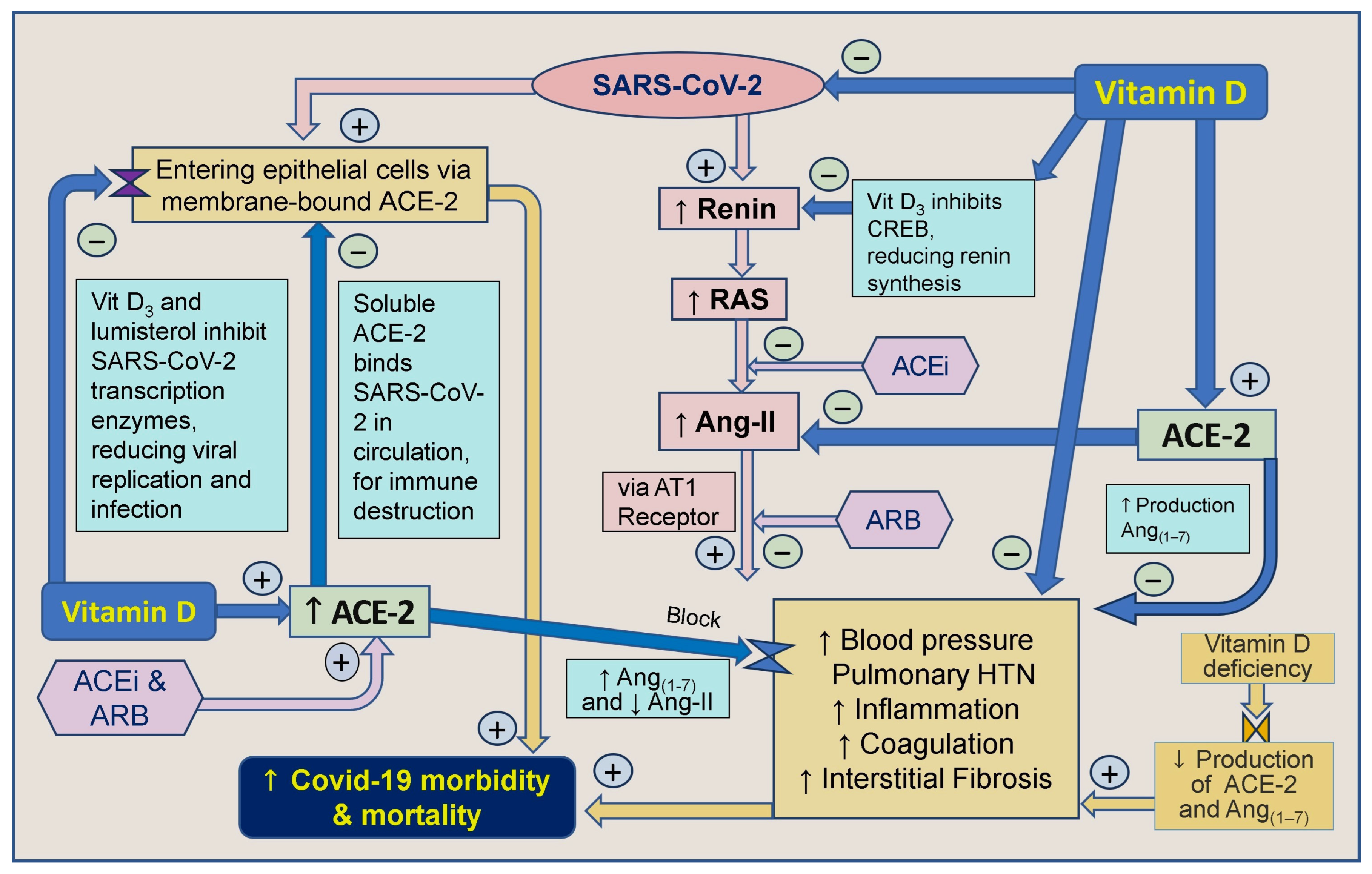 Biology 13 00831 g004 Biology 13 00831 g004