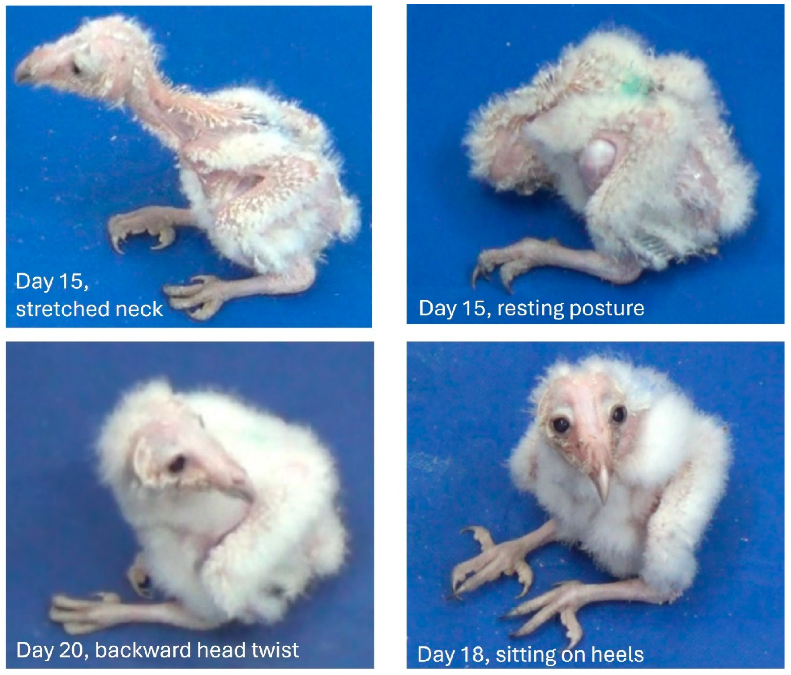 Biology 13 00834 g005