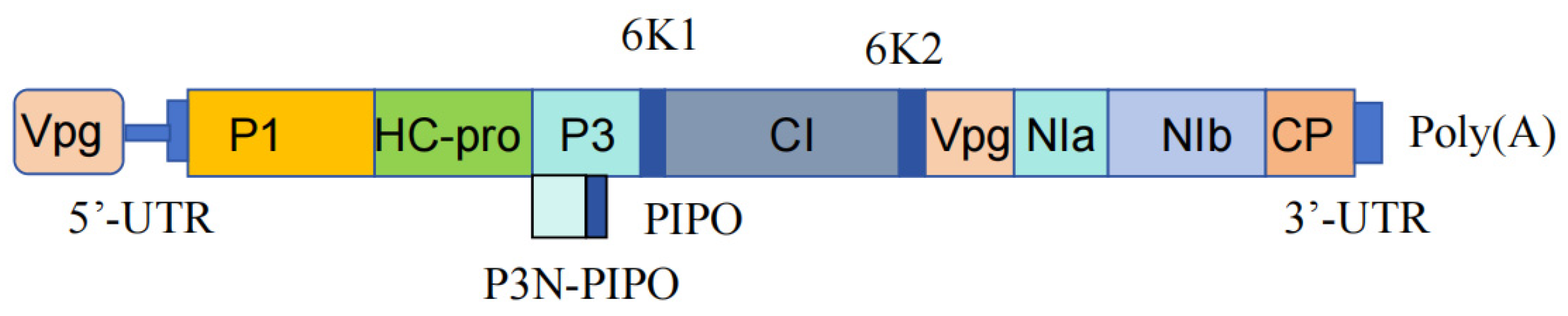 Biology 13 00839 g002 Biology 13 00839 g002