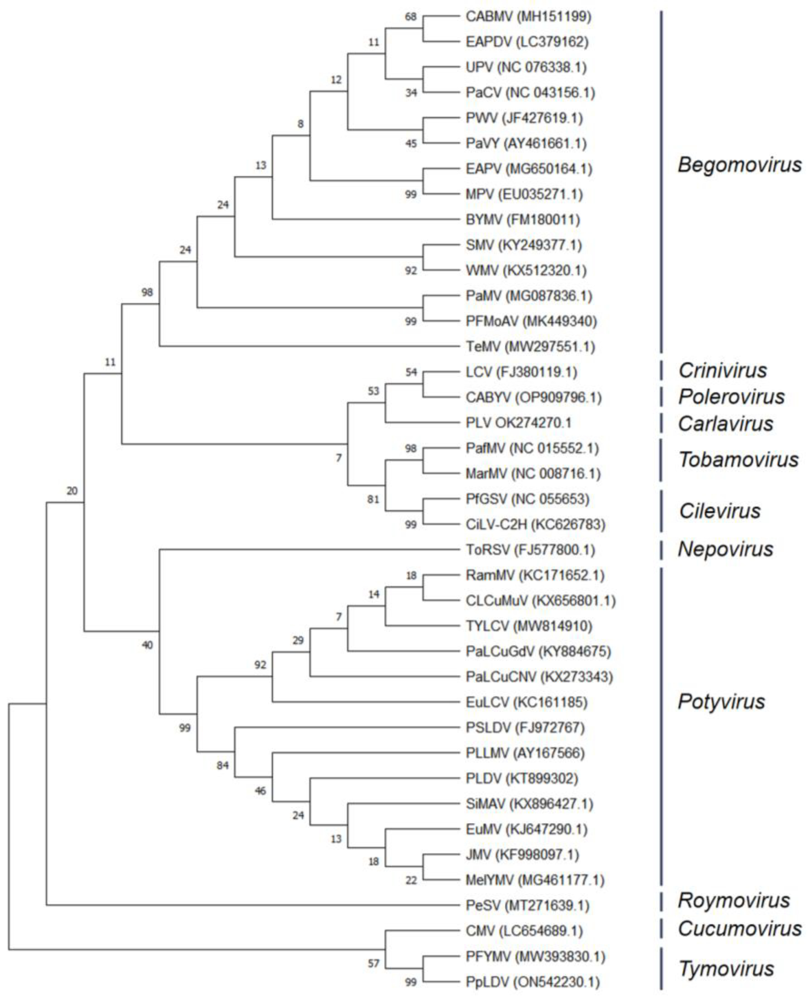 Biology 13 00839 g003 Biology 13 00839 g003