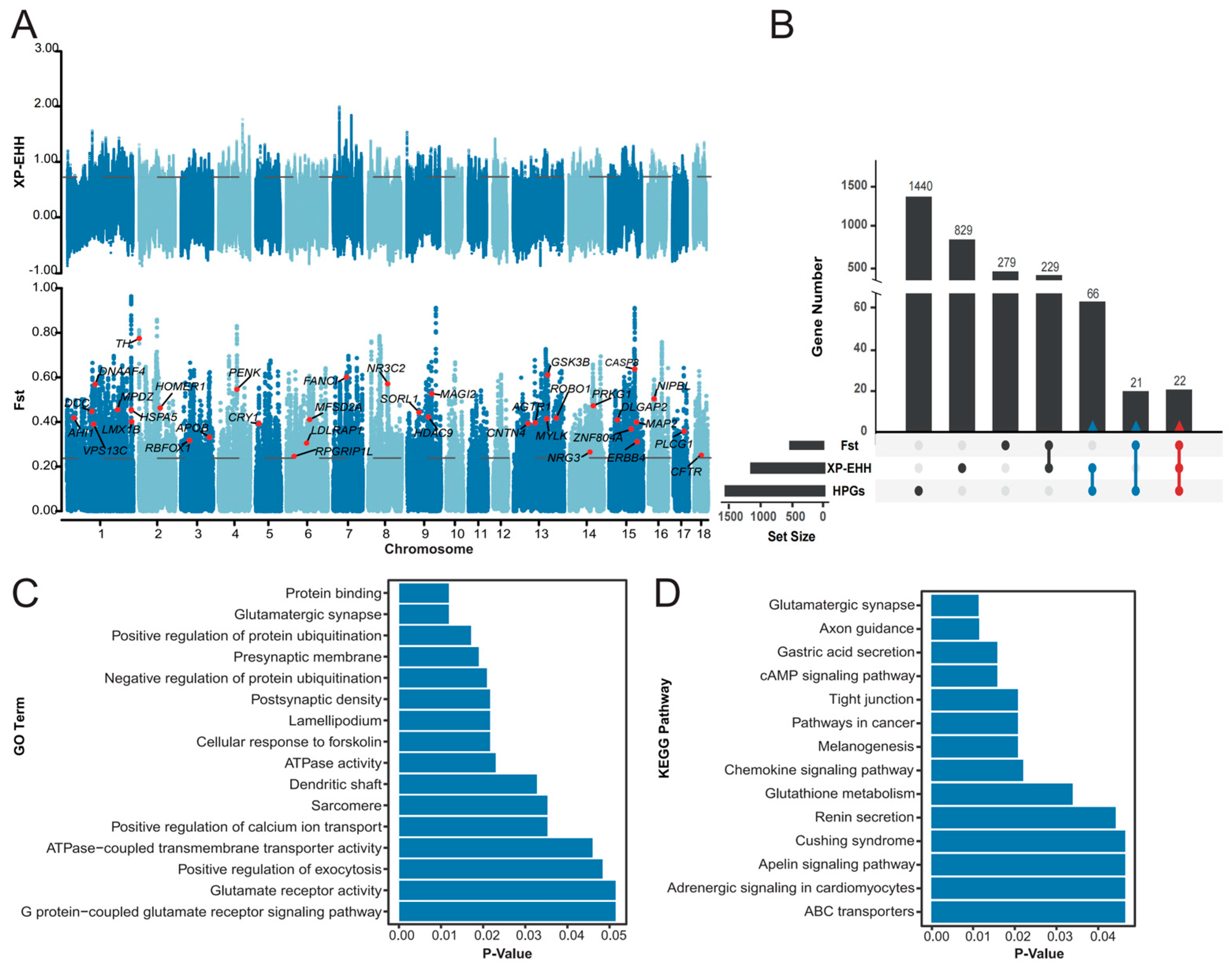 Biology 13 00843 g003