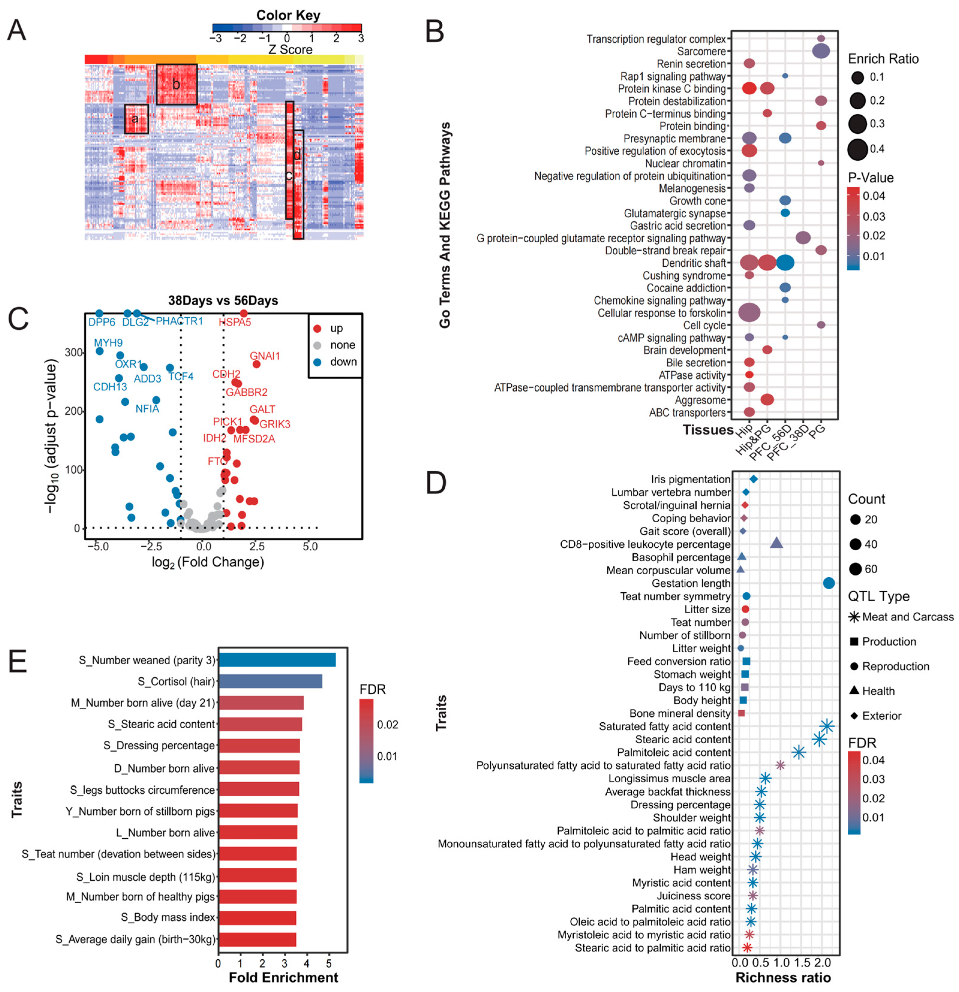 Biology 13 00843 g004