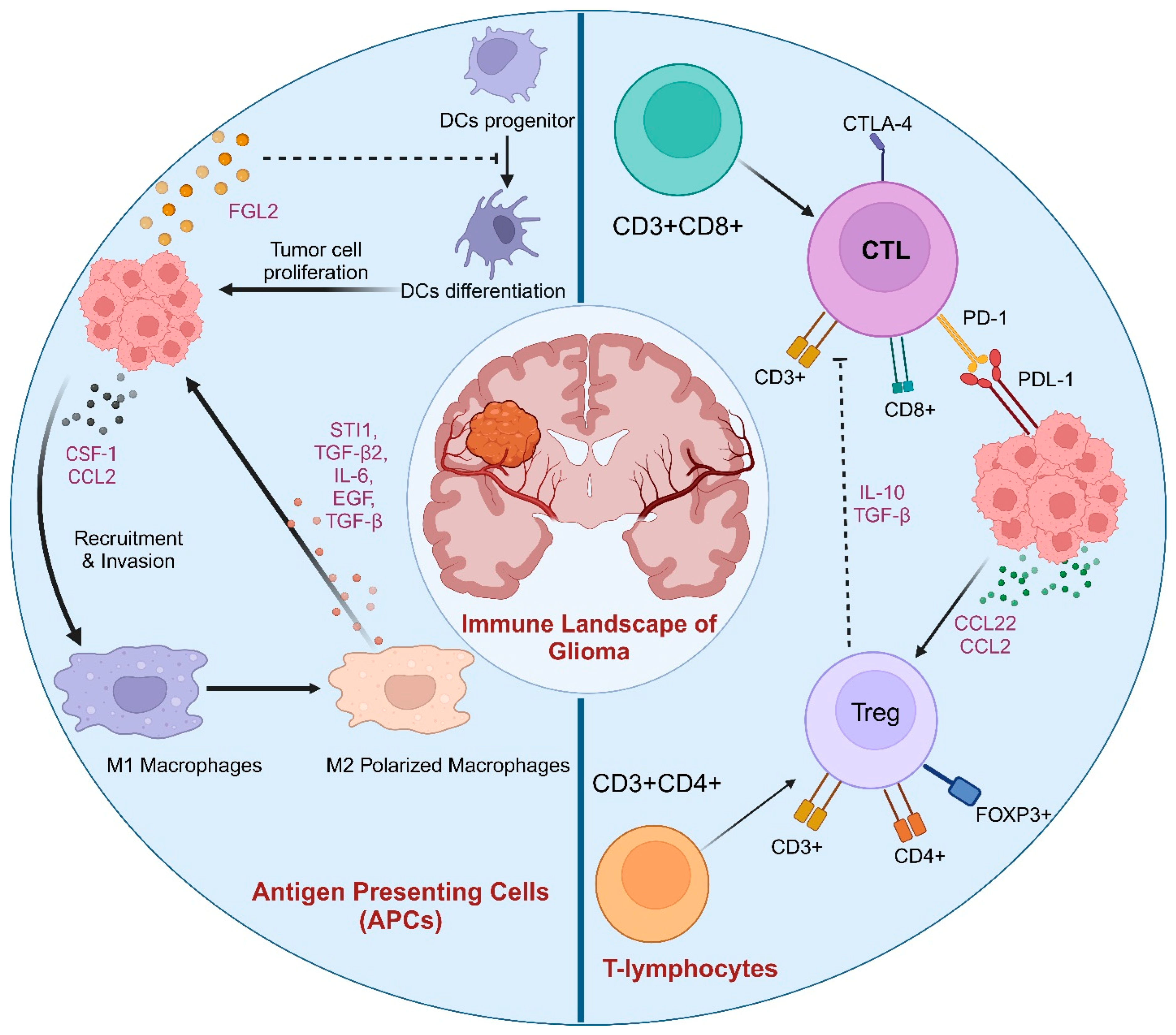 Biology 13 00846 g001