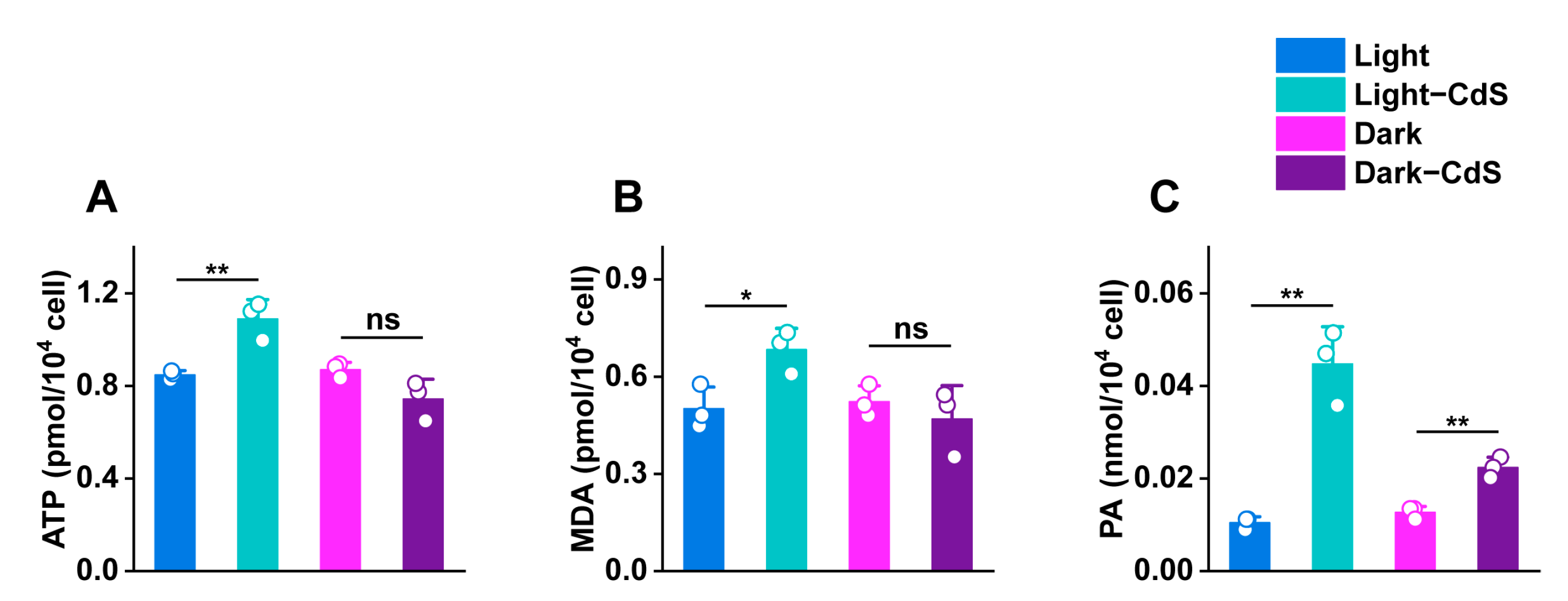 Biology 13 00847 g005