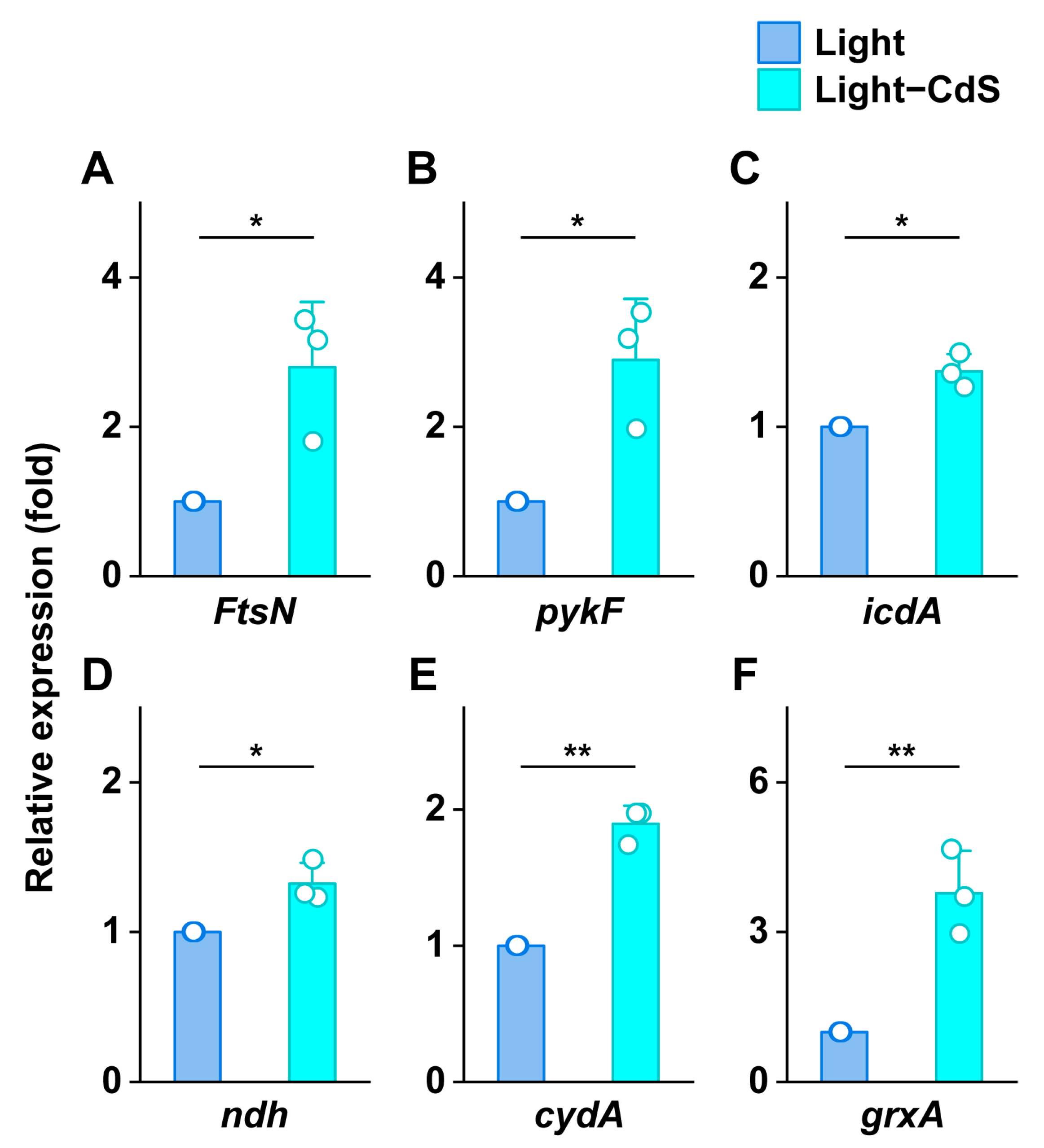 Biology 13 00847 g007