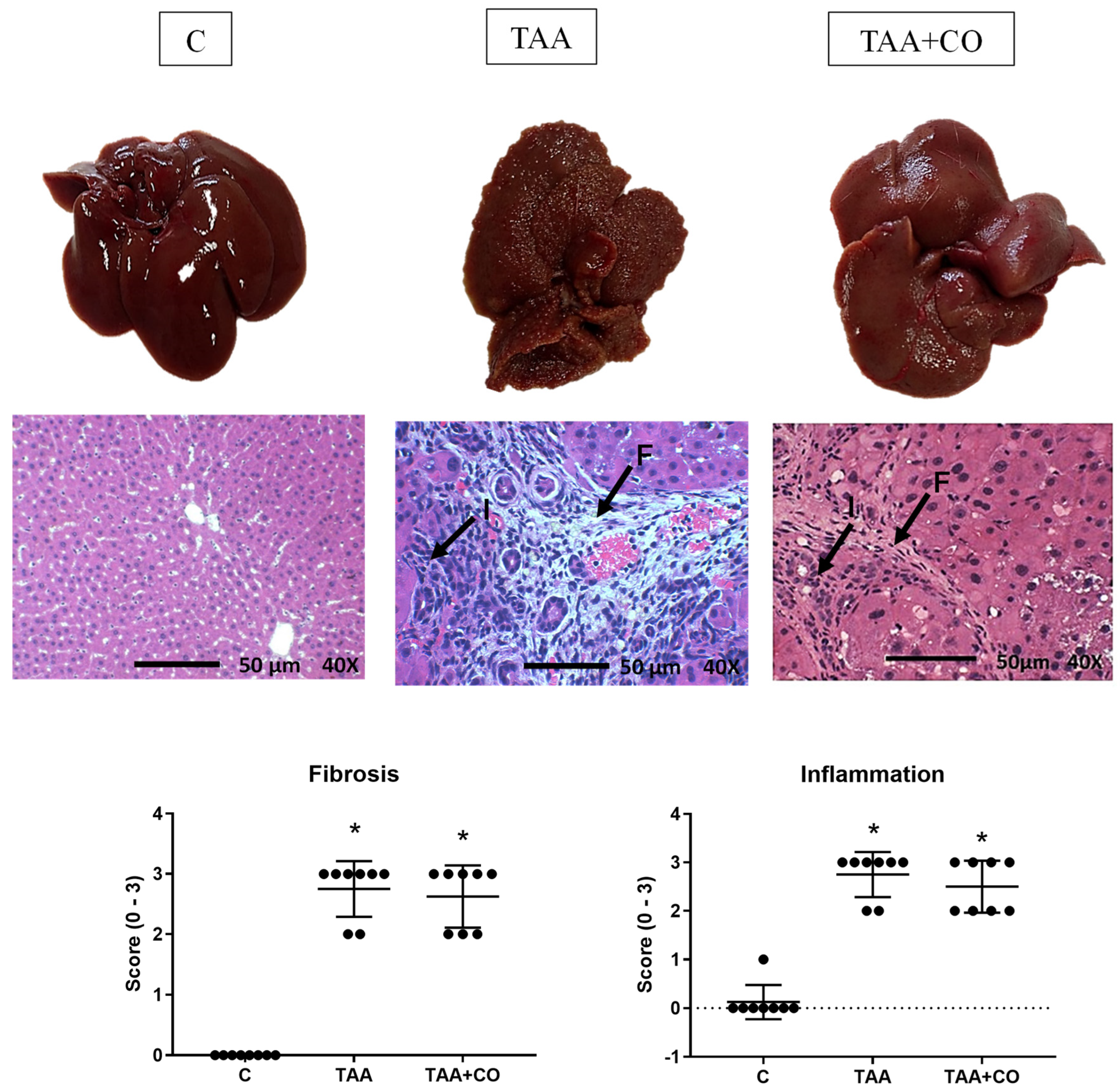 Biology 13 00853 g001