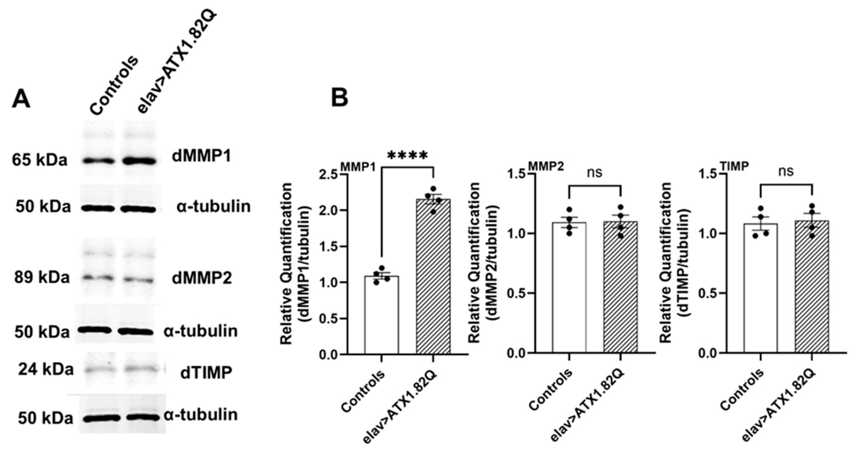 Biology 13 00854 g006