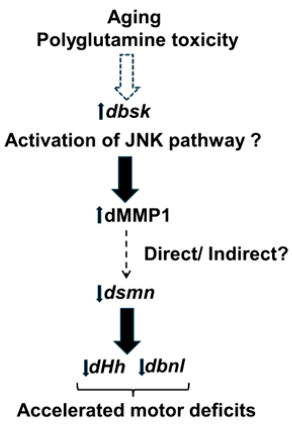 Biology 13 00854 g007