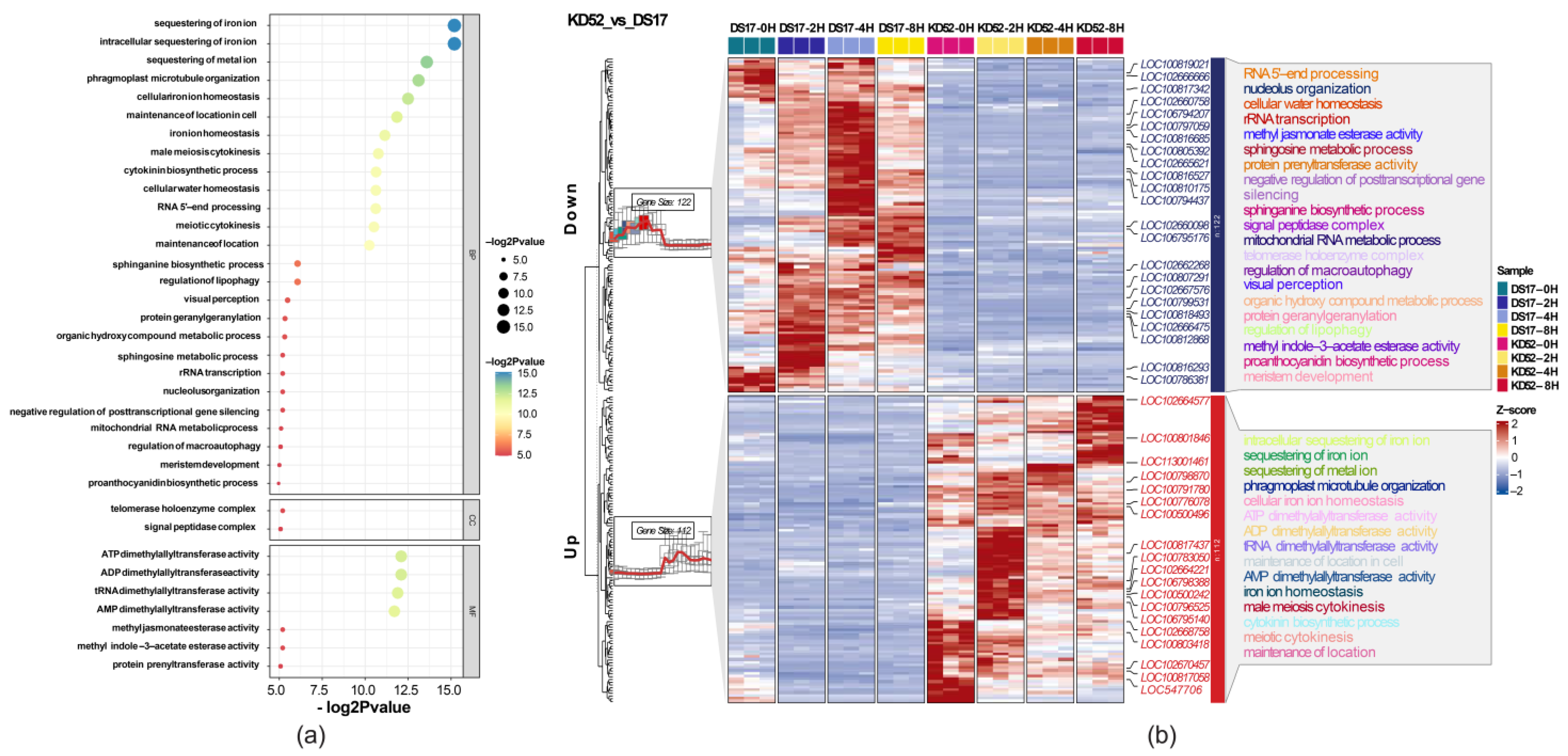 Biology 13 00856 g003