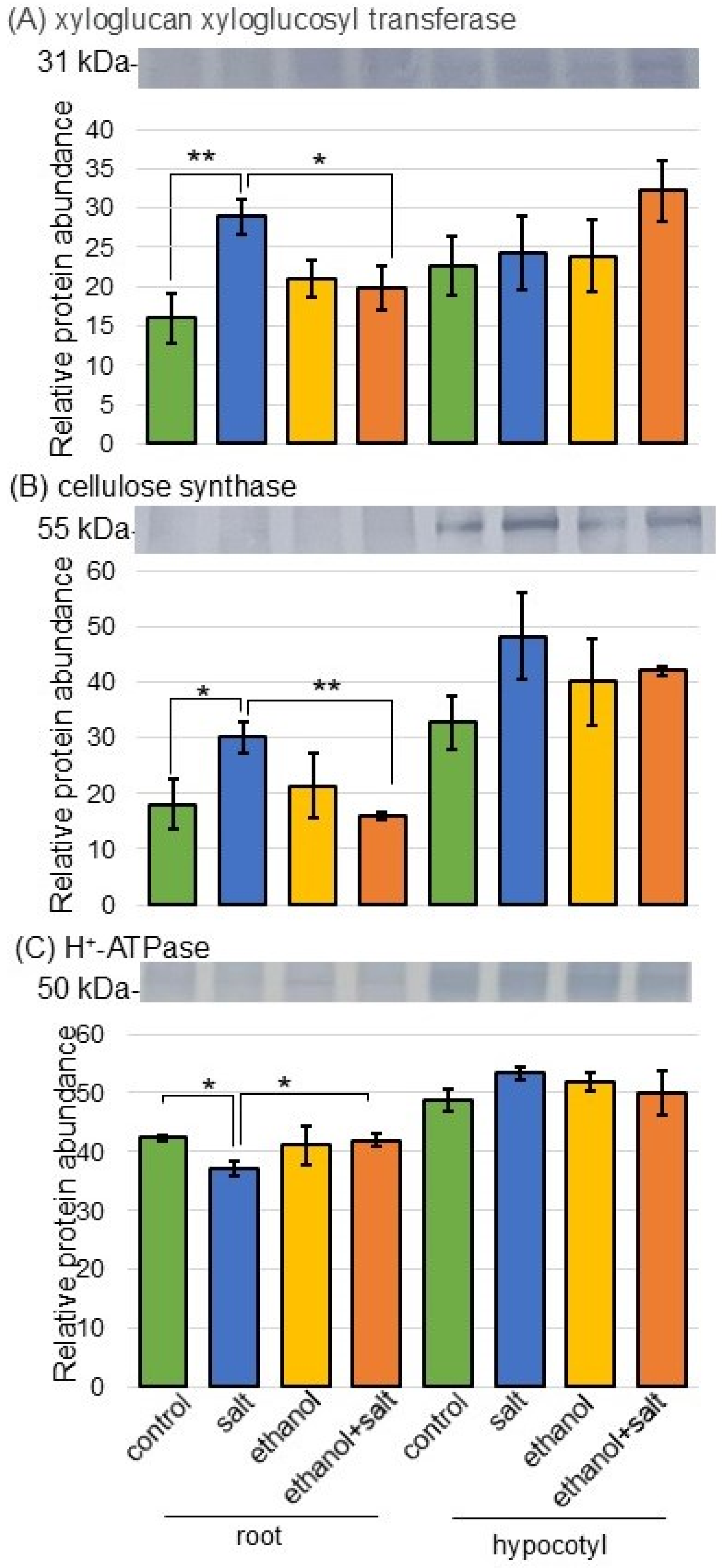 Biology 13 00861 g006