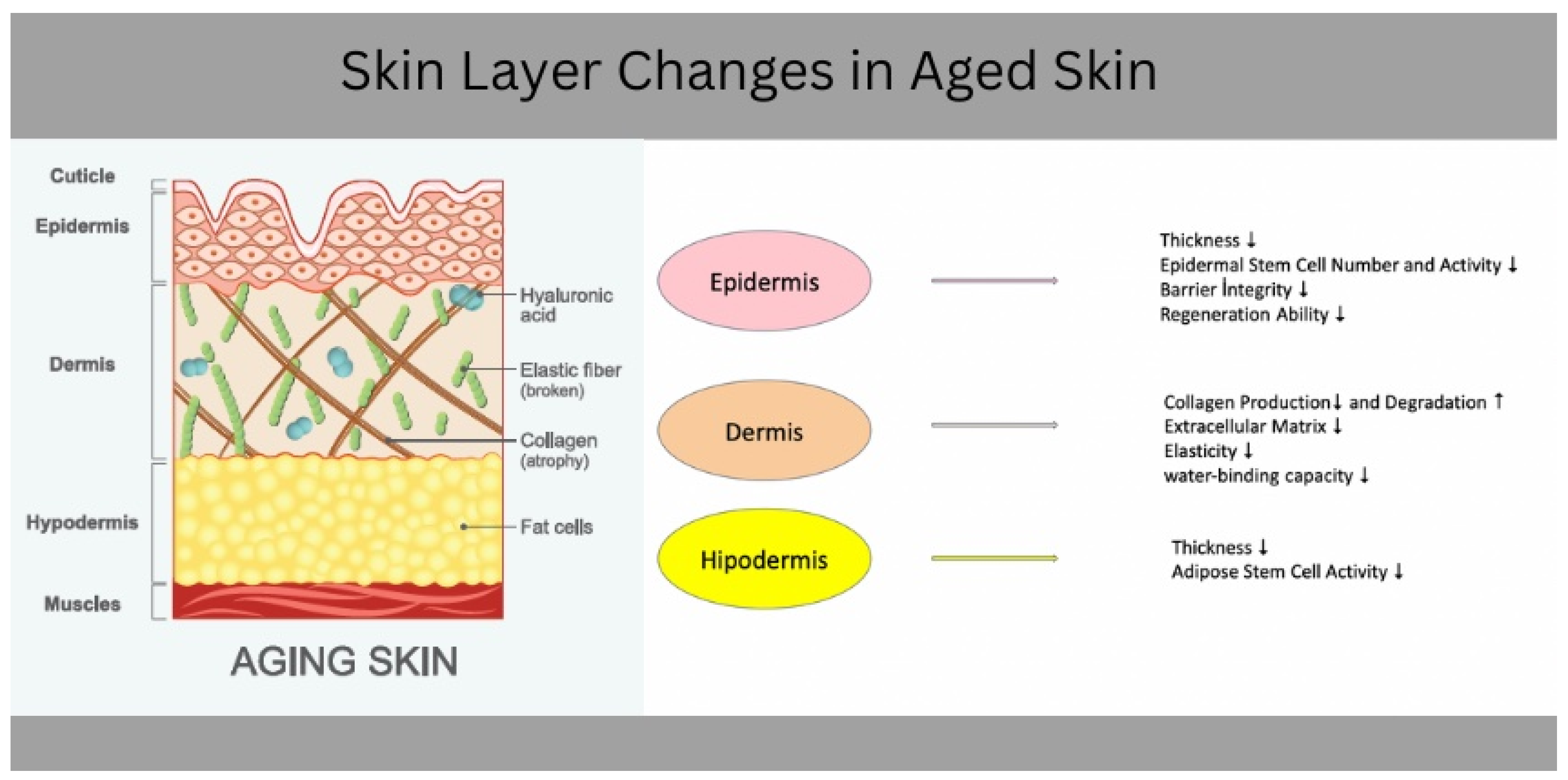 Biology 13 00862 g001