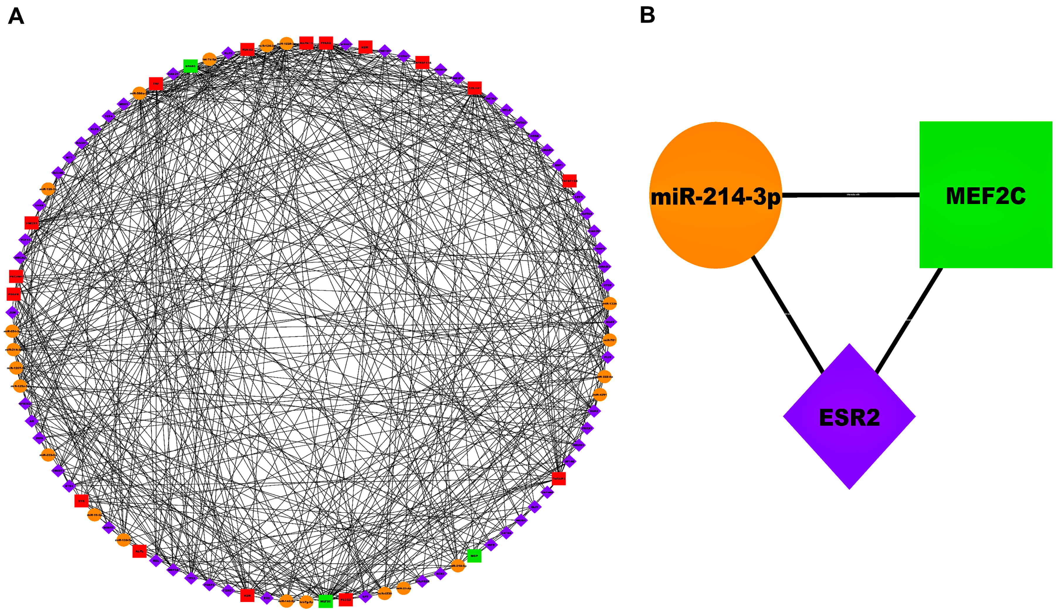 Biology 13 00867 g007